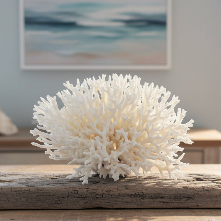 Birdsnest Coral 10-12"