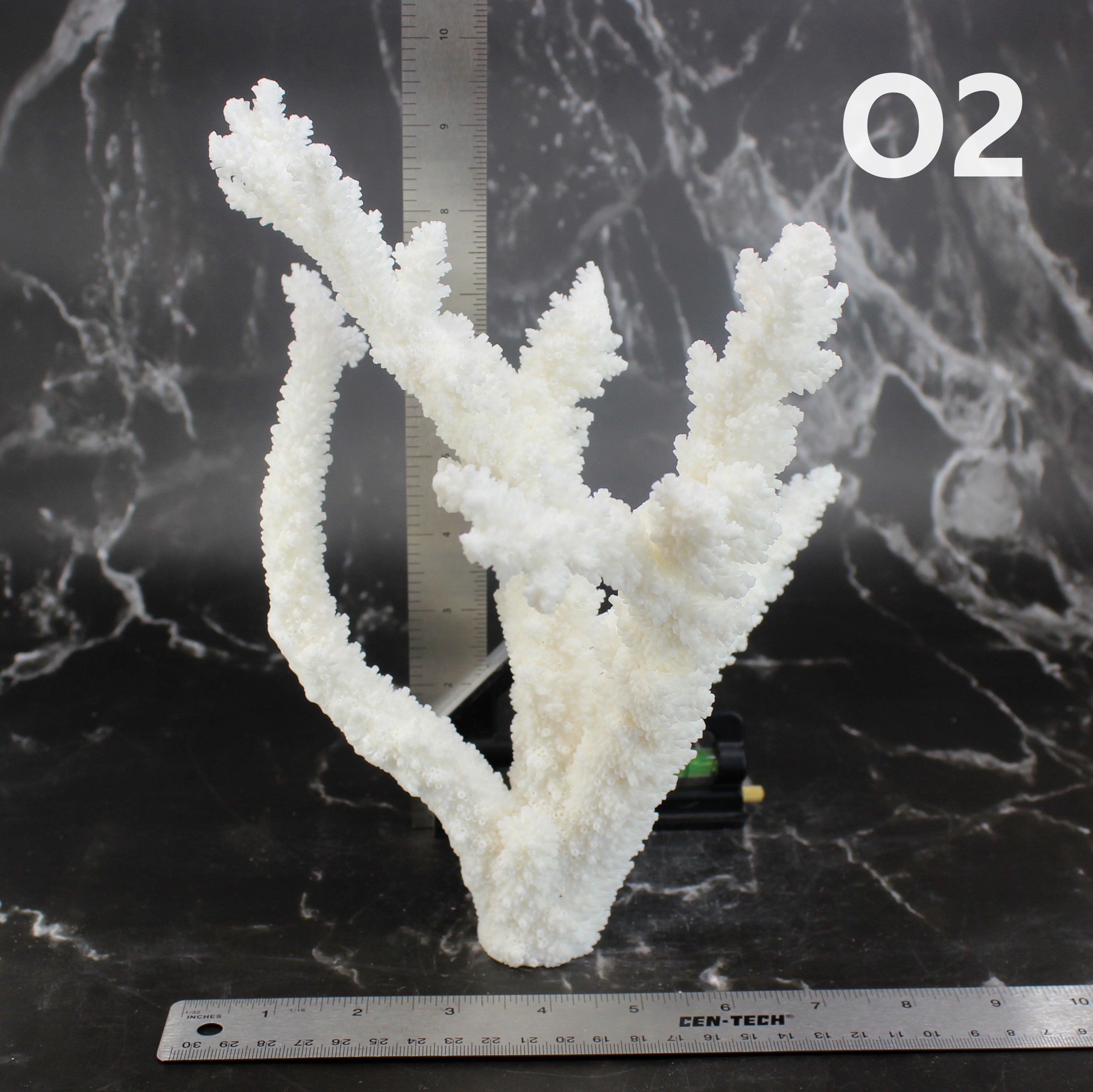 Branch Coral 10-12"