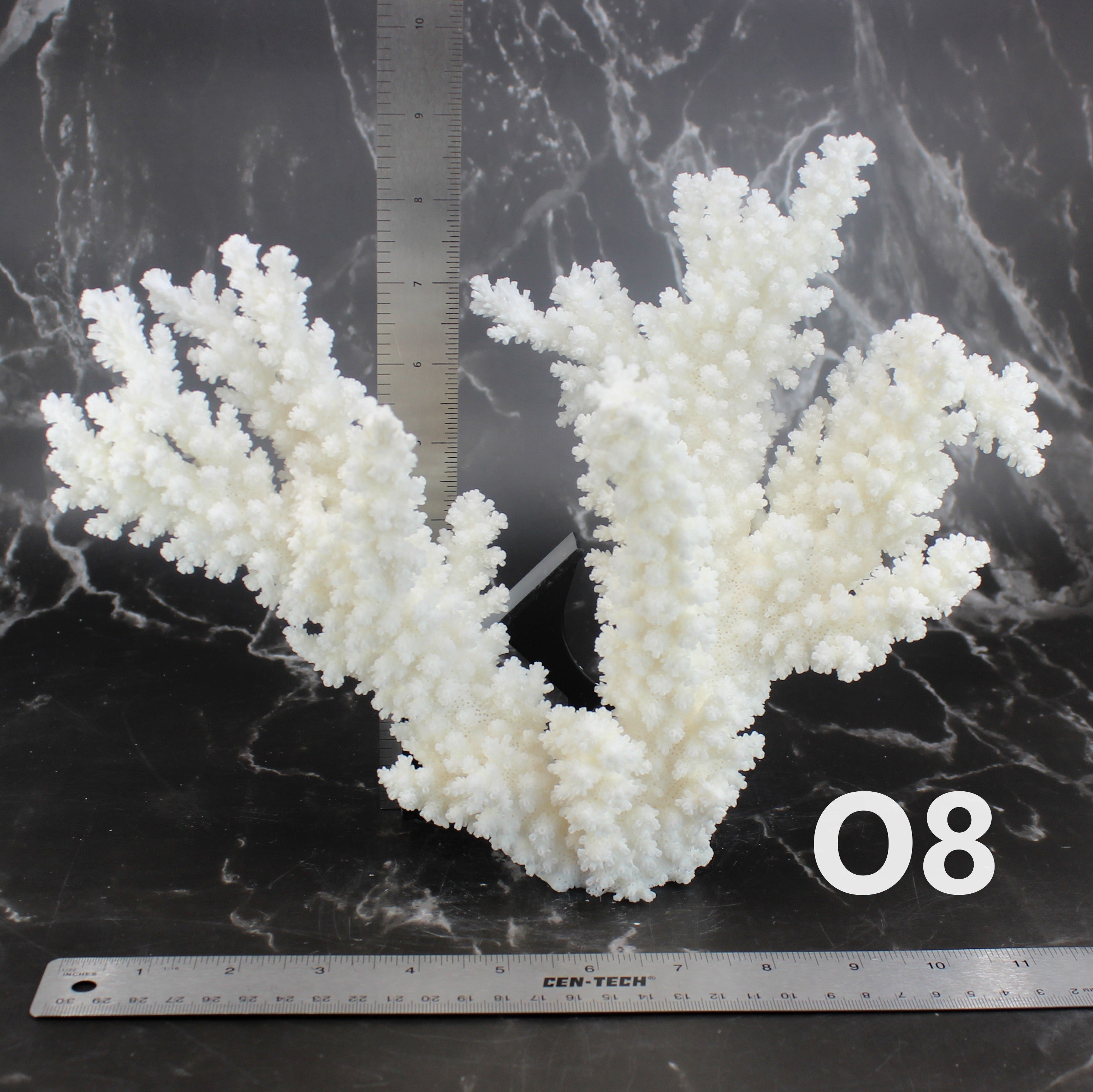 Branch Coral 10-12"