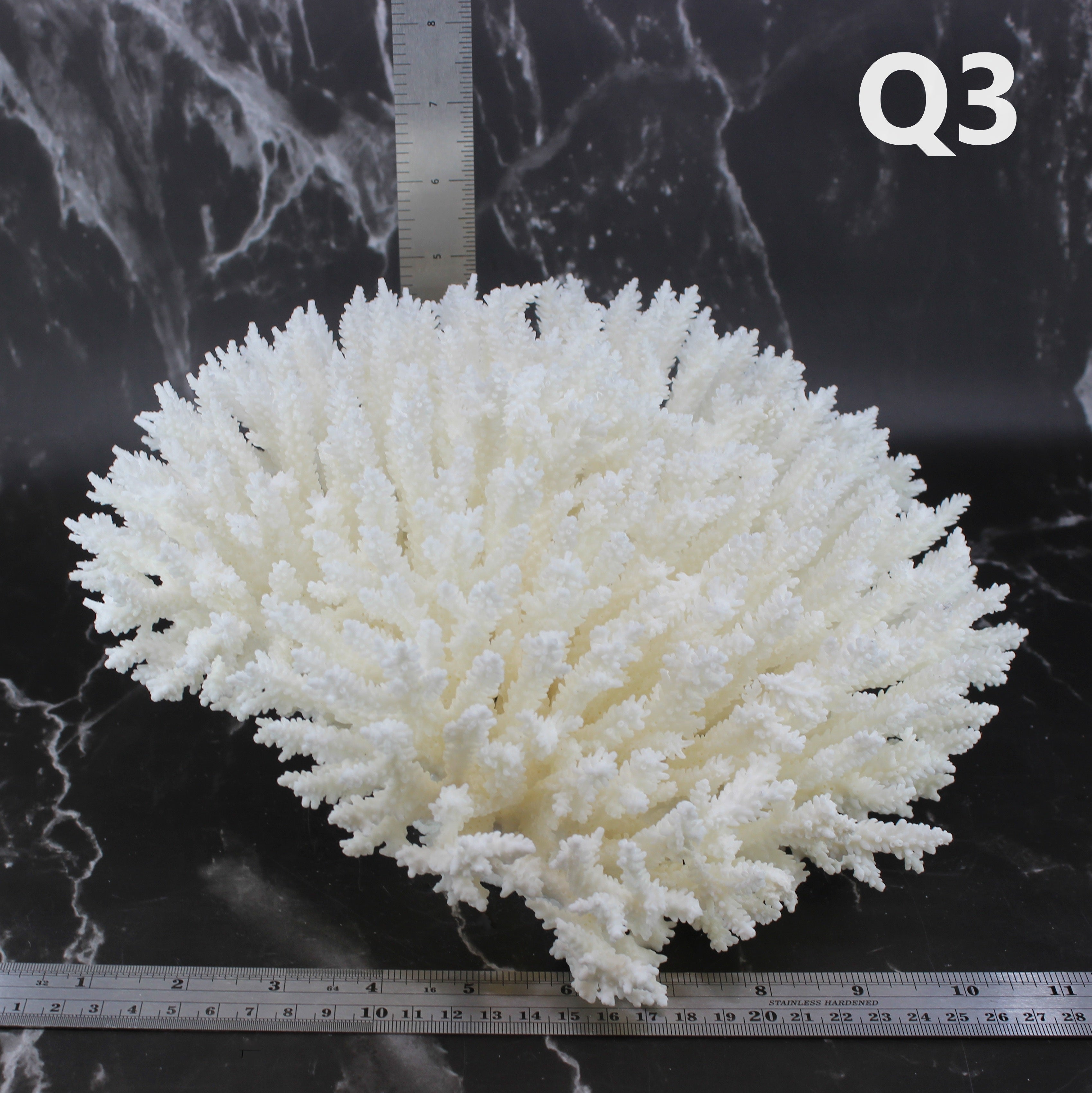 Table Coral 10-12"