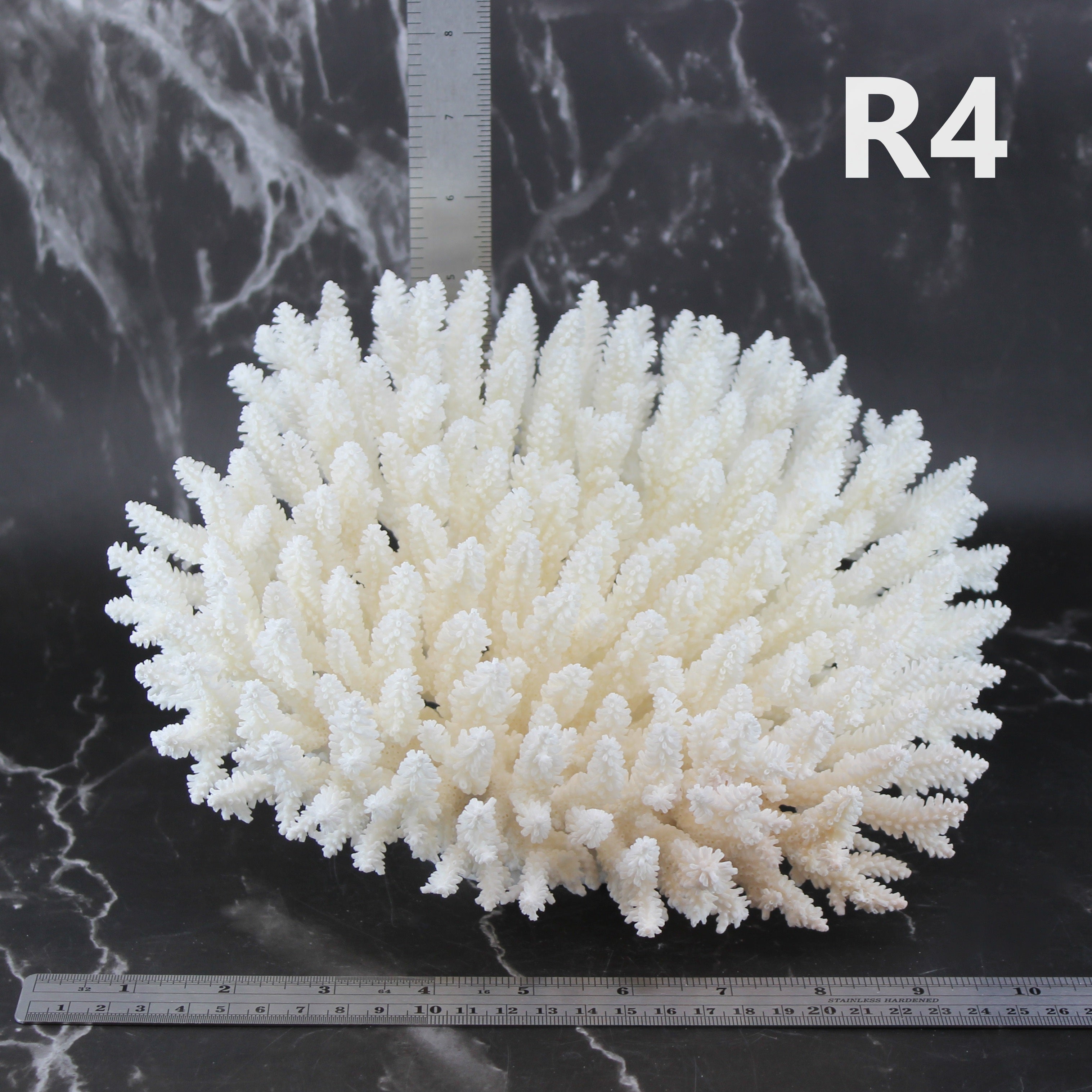 Table Coral 10-12"