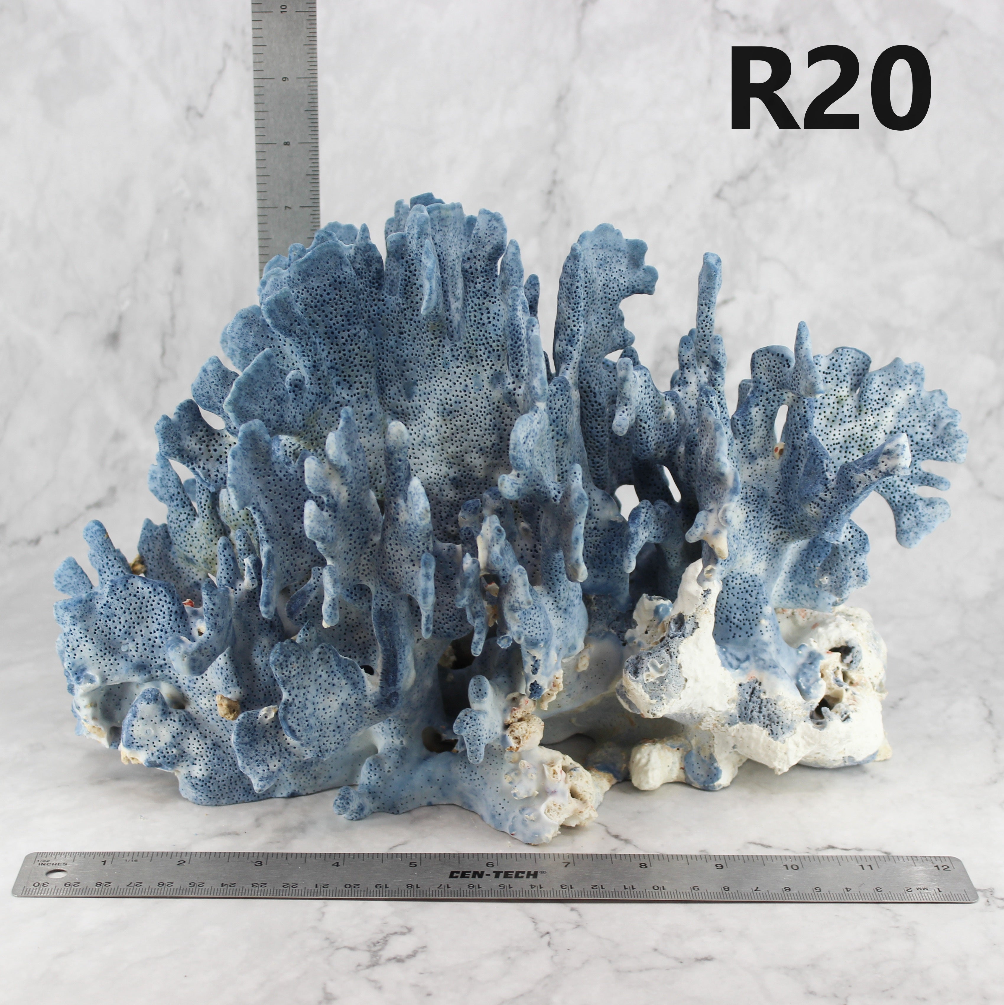Blue Coral 12-14"