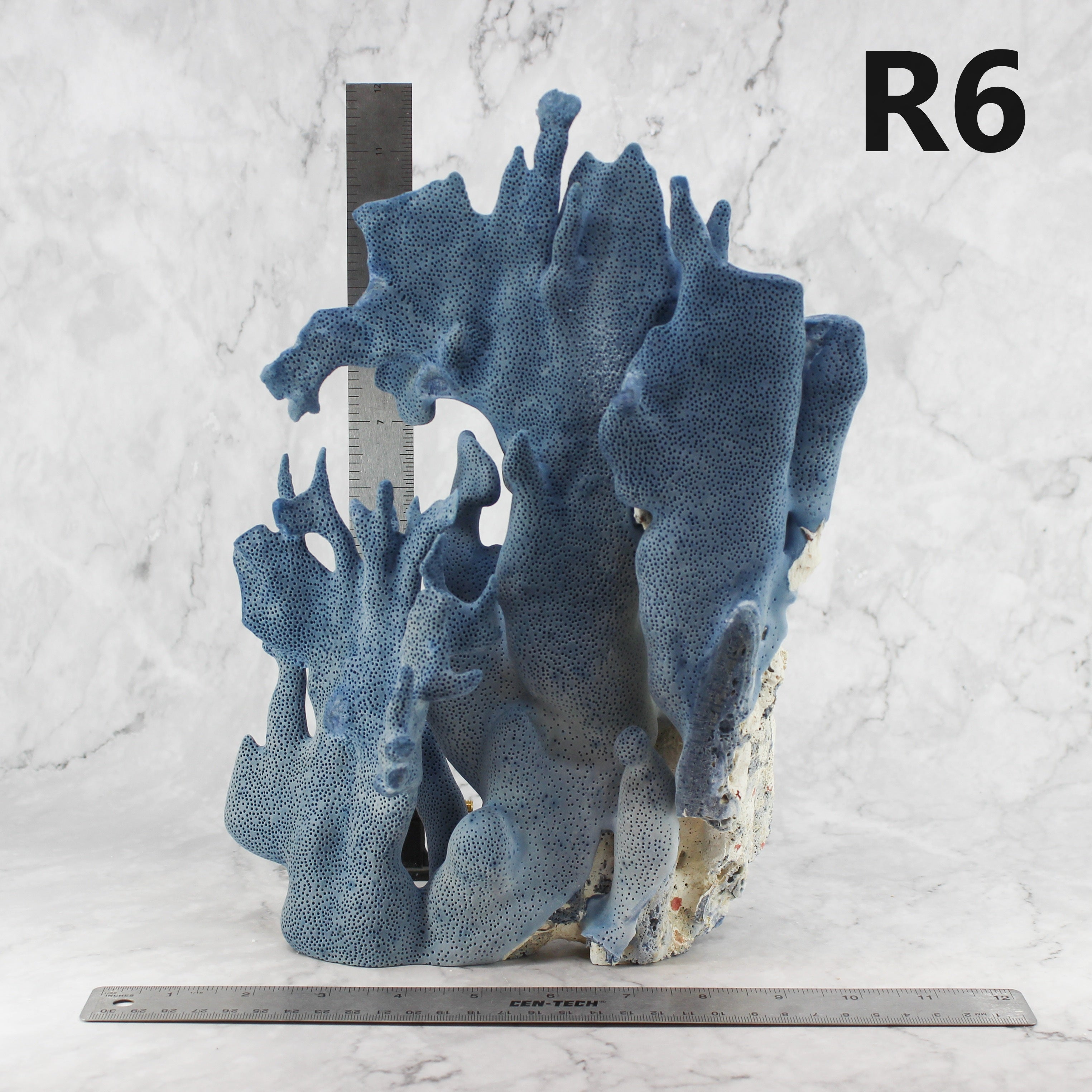 Blue Coral 12-14"