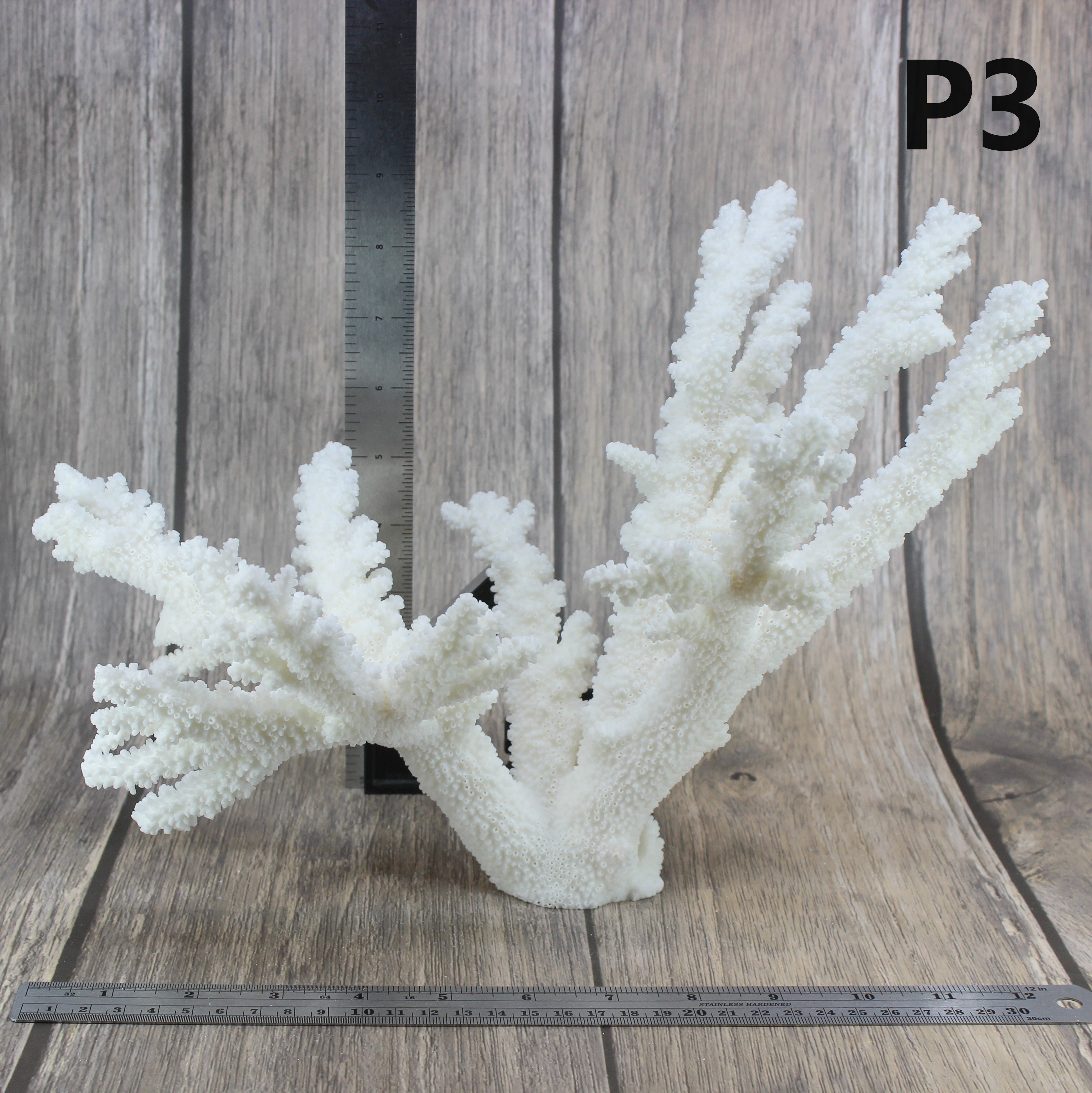 Branch Coral 12-15"