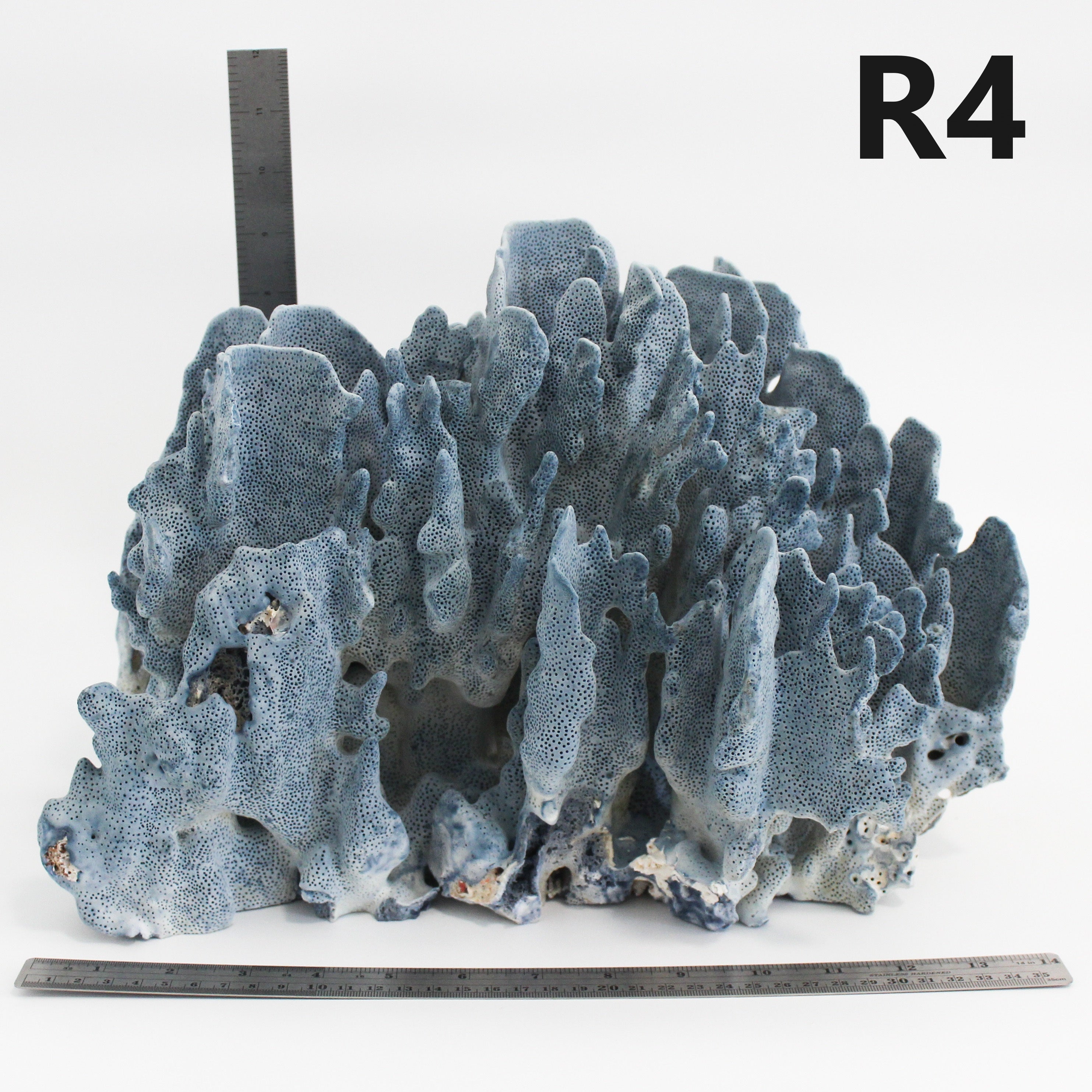 Blue Coral 14-16"