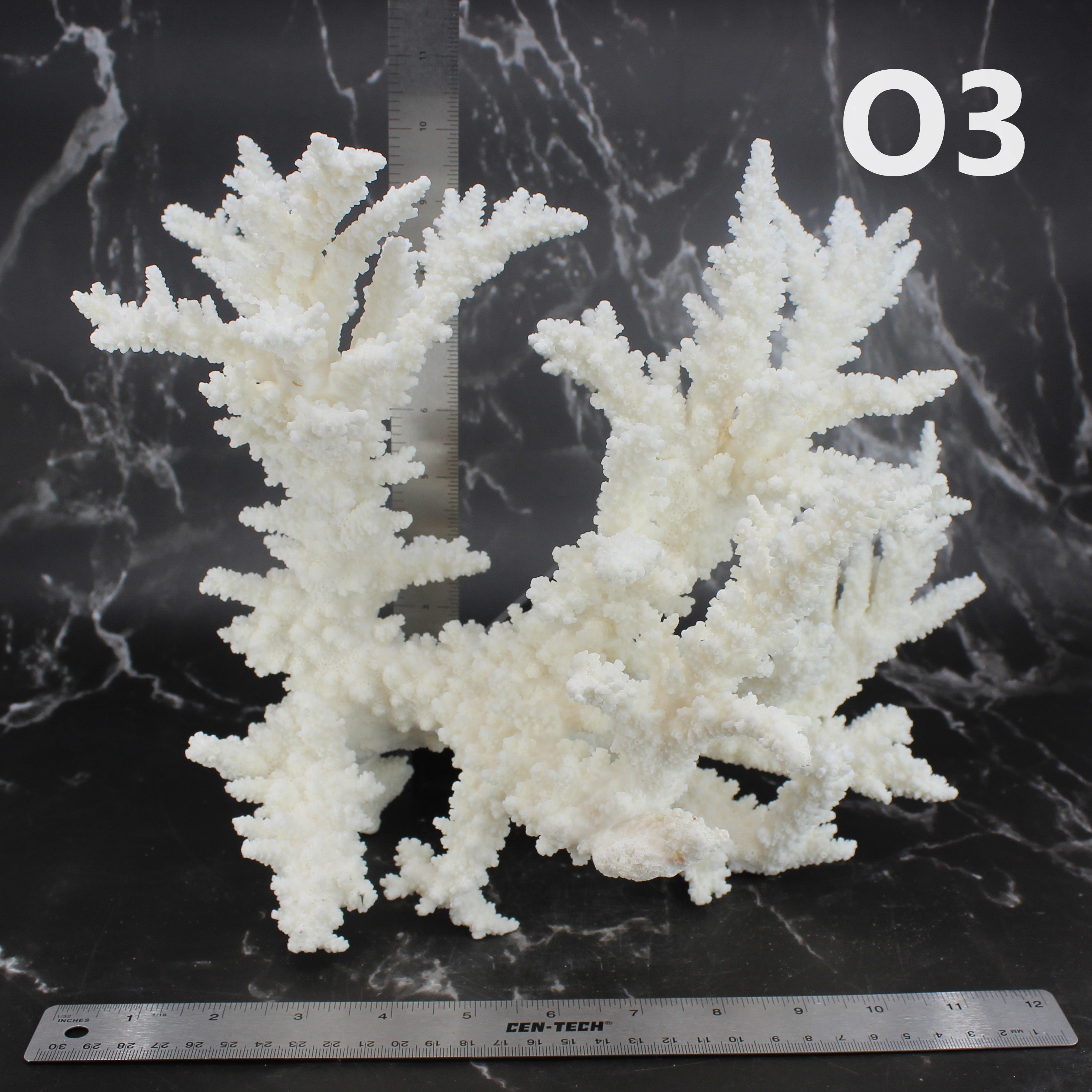 Branch Coral 14-16"