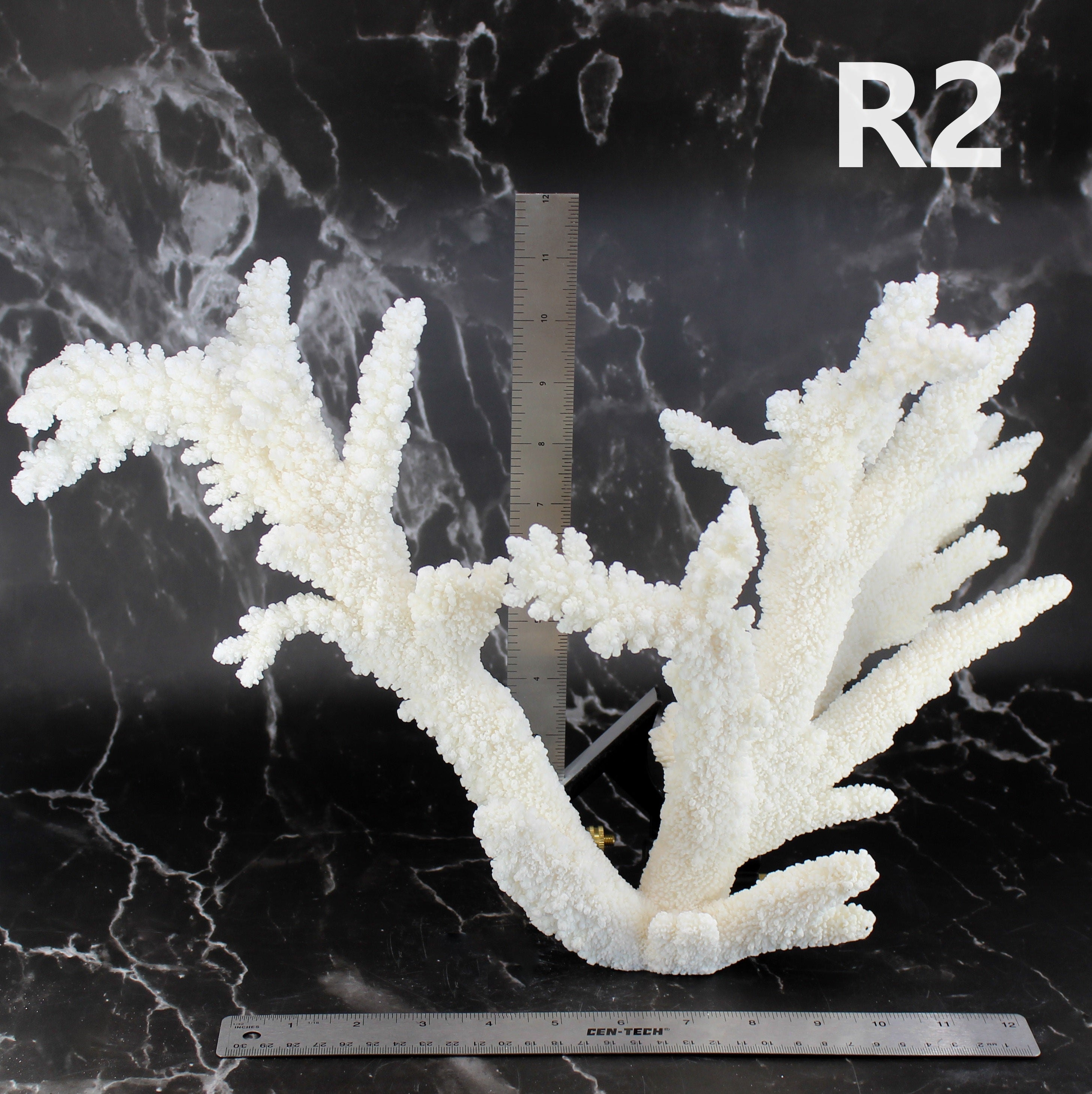 Branch Coral 14-16"