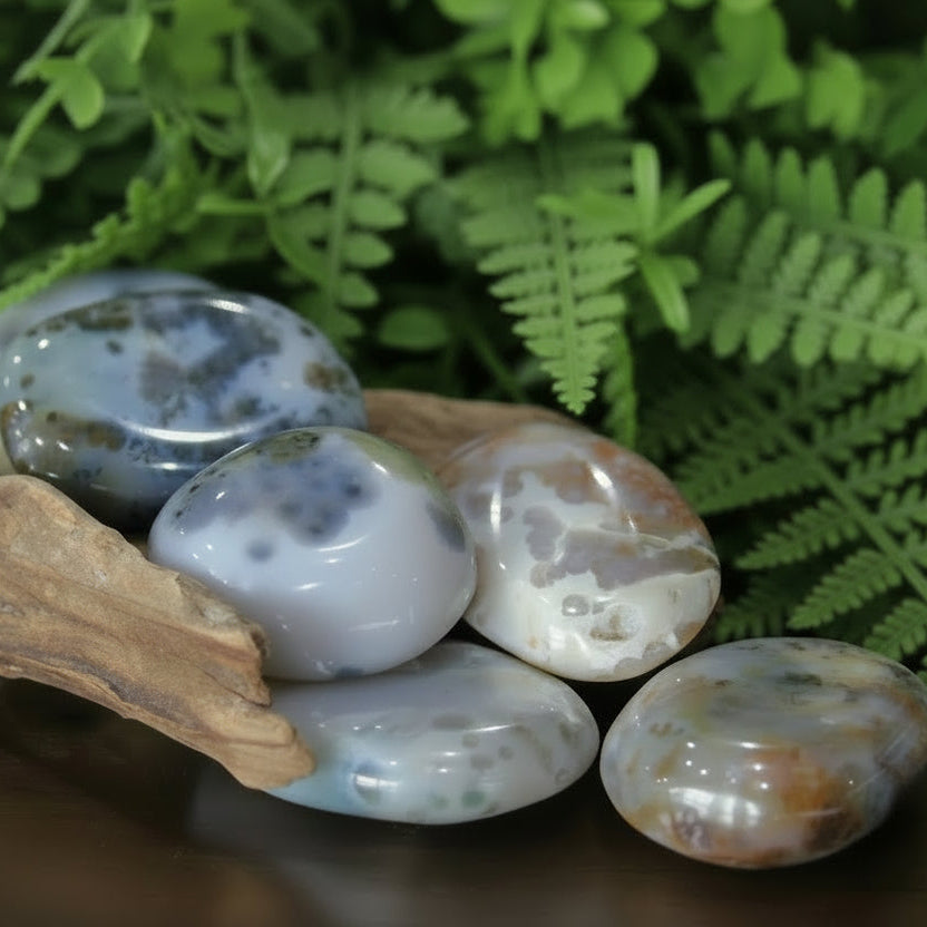 Ocean Jasper Palm Stone