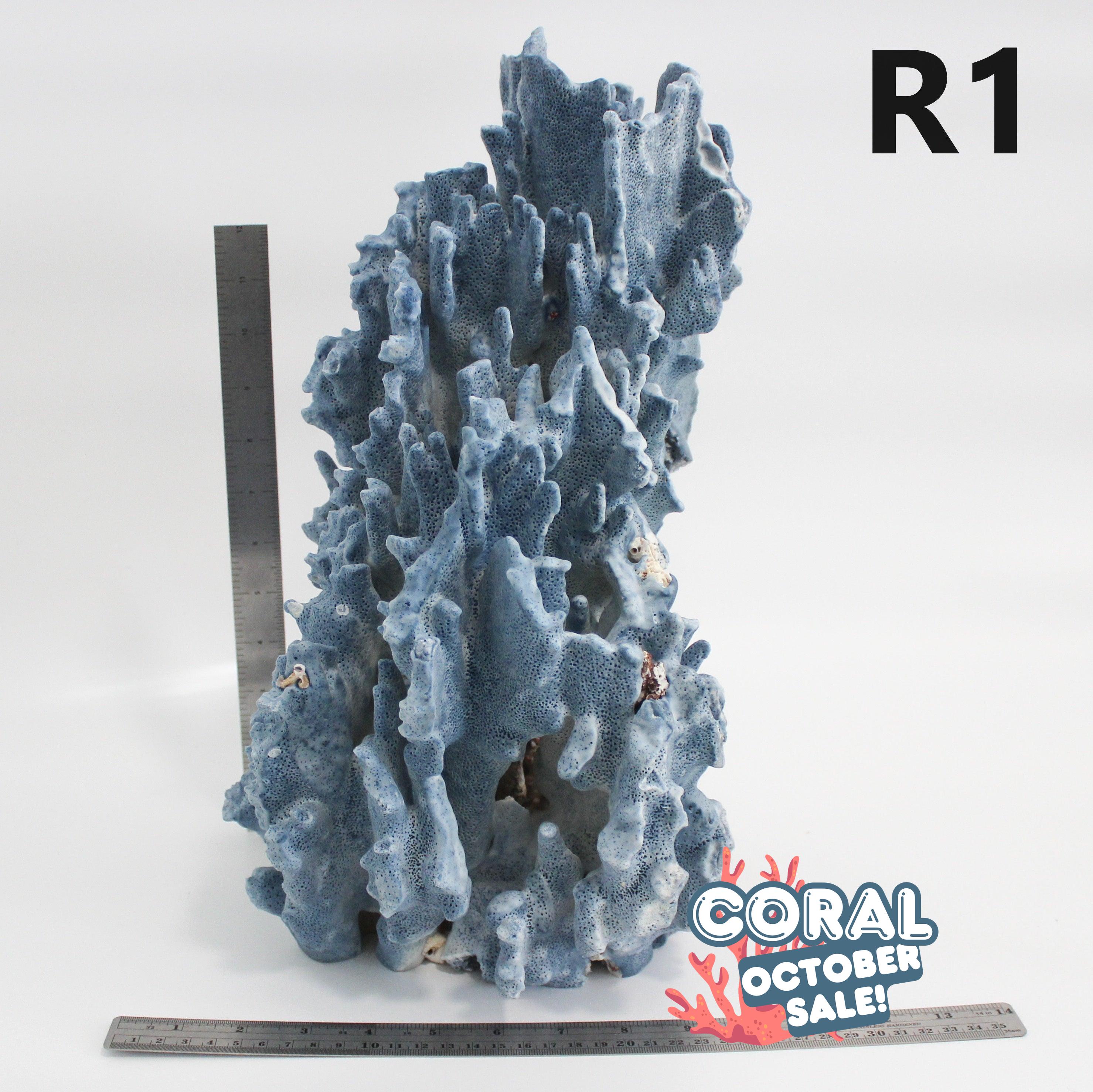 Blue Coral 16-19"