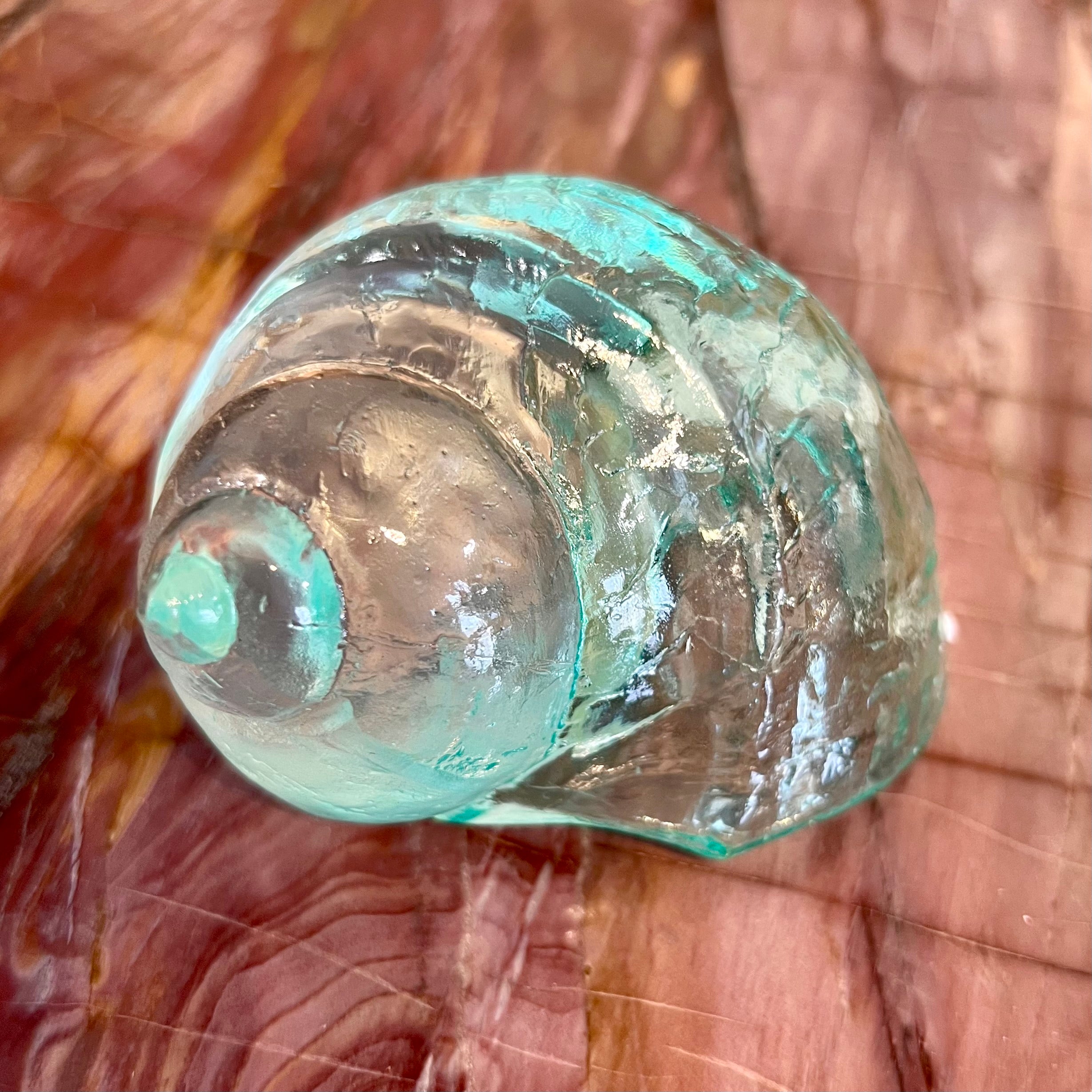 Clear Blue Shells