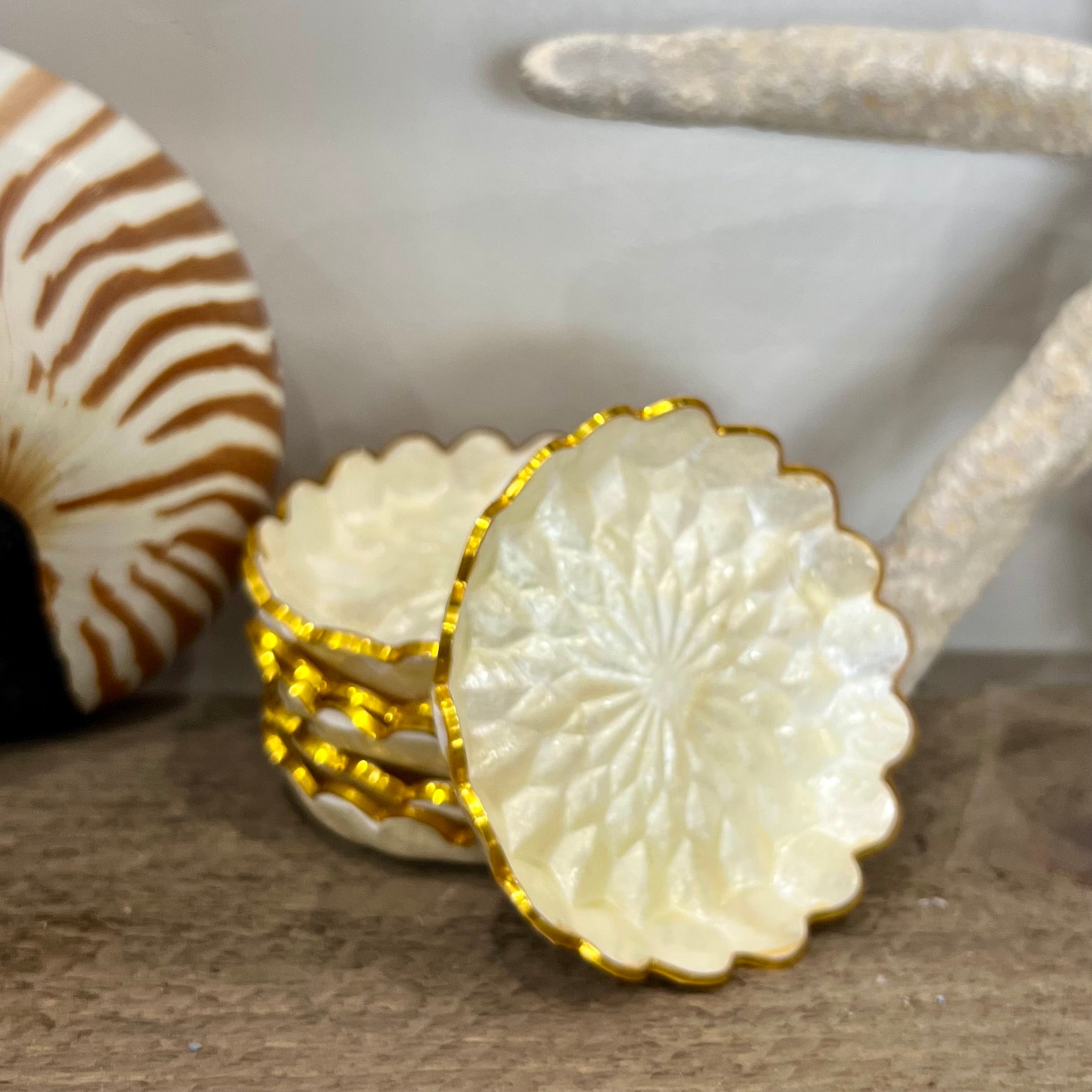 Capiz Coaster Sets