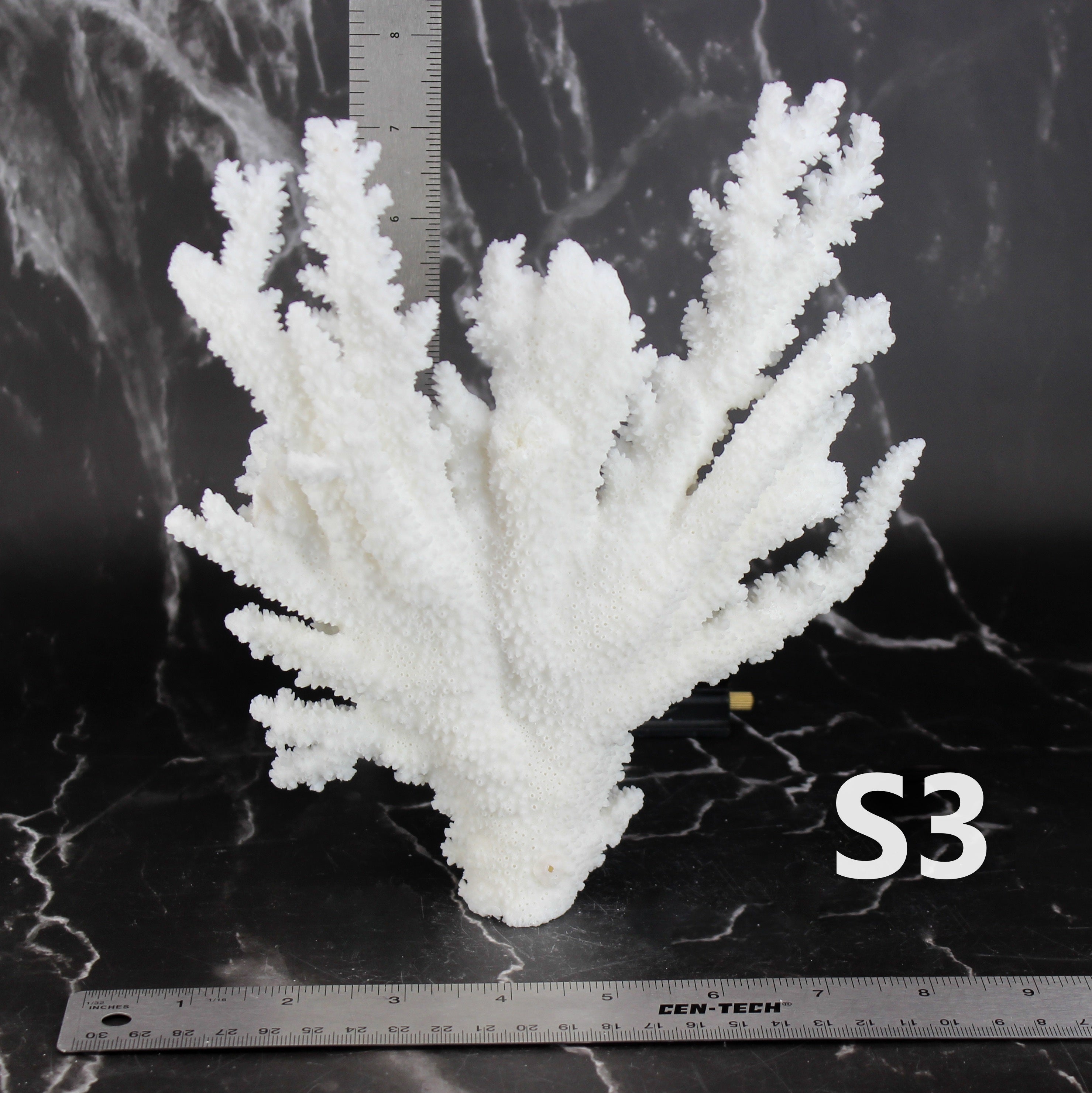 Branch Coral 7-10"