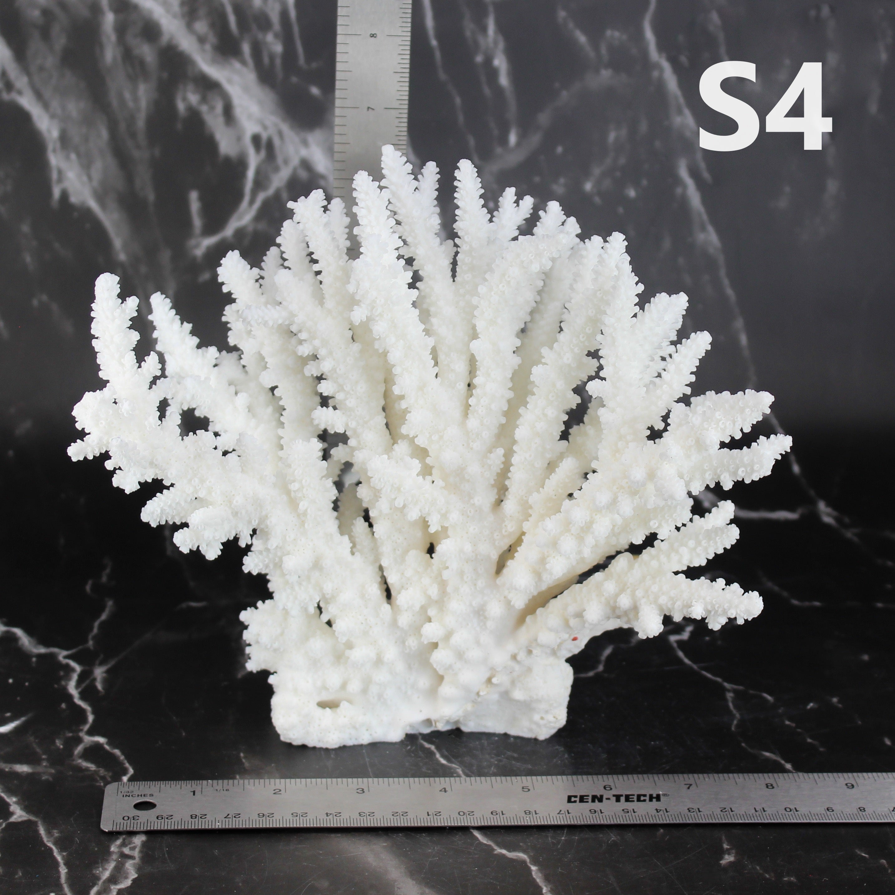 Branch Coral 7-10"