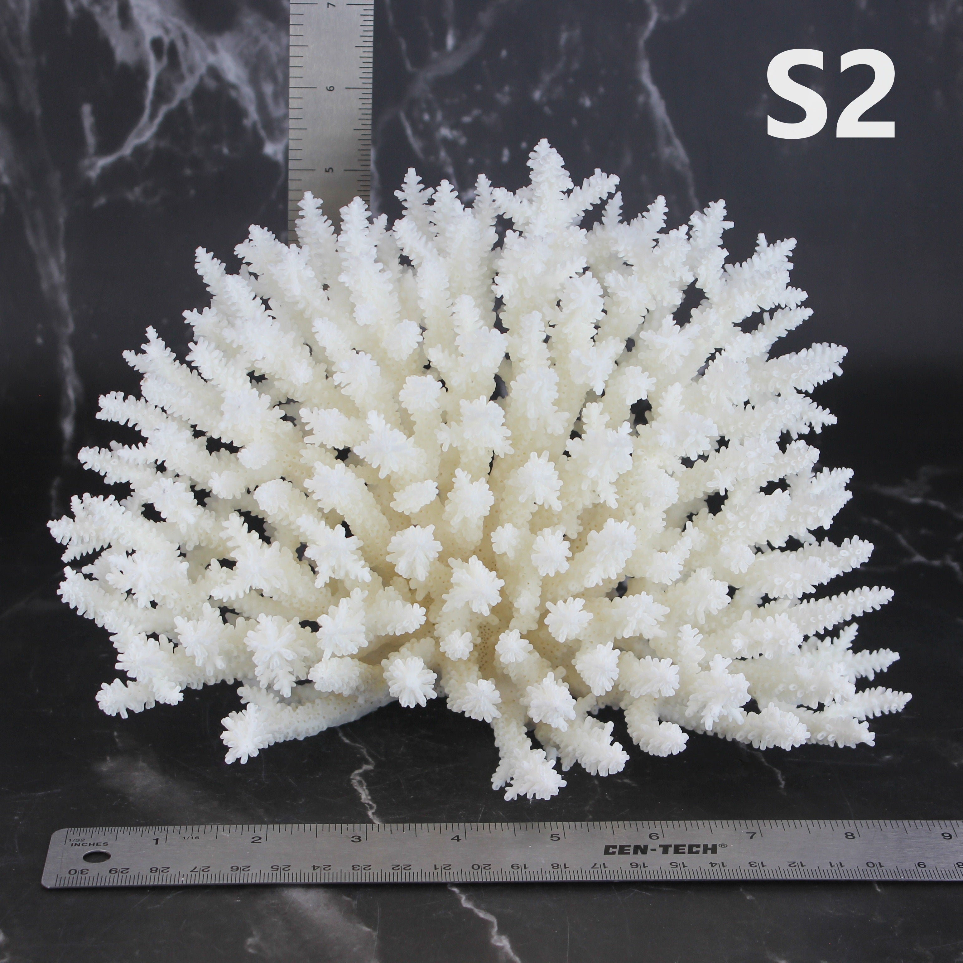 Table Coral 7-10"