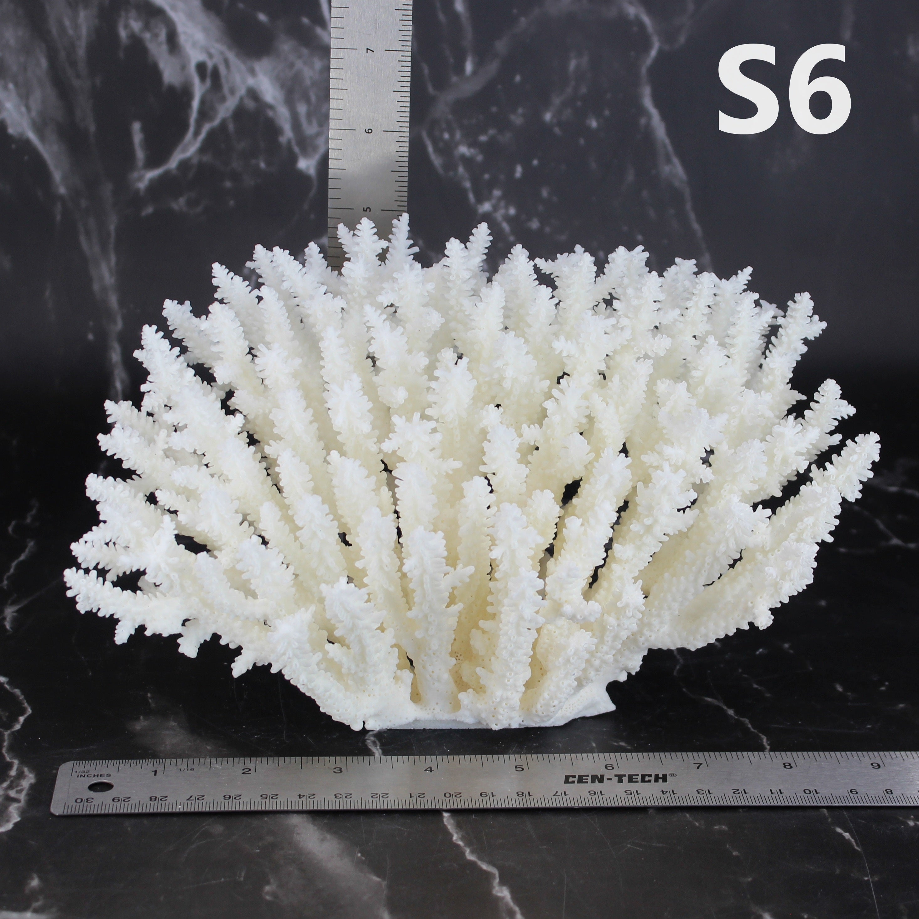 Table Coral 7-10"