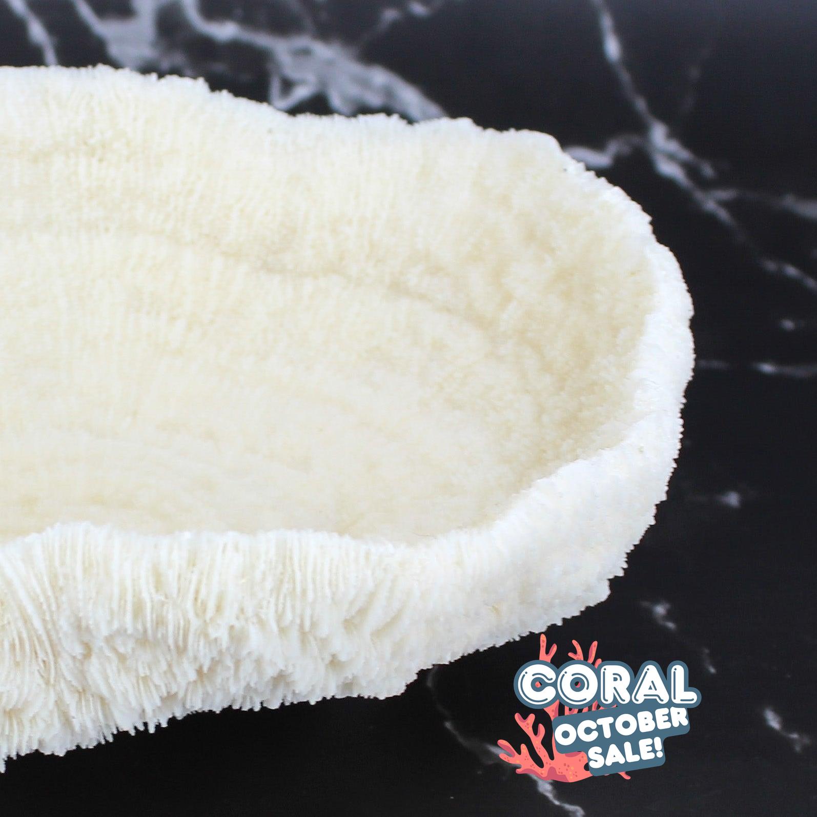 Coral Bowl 8-10"