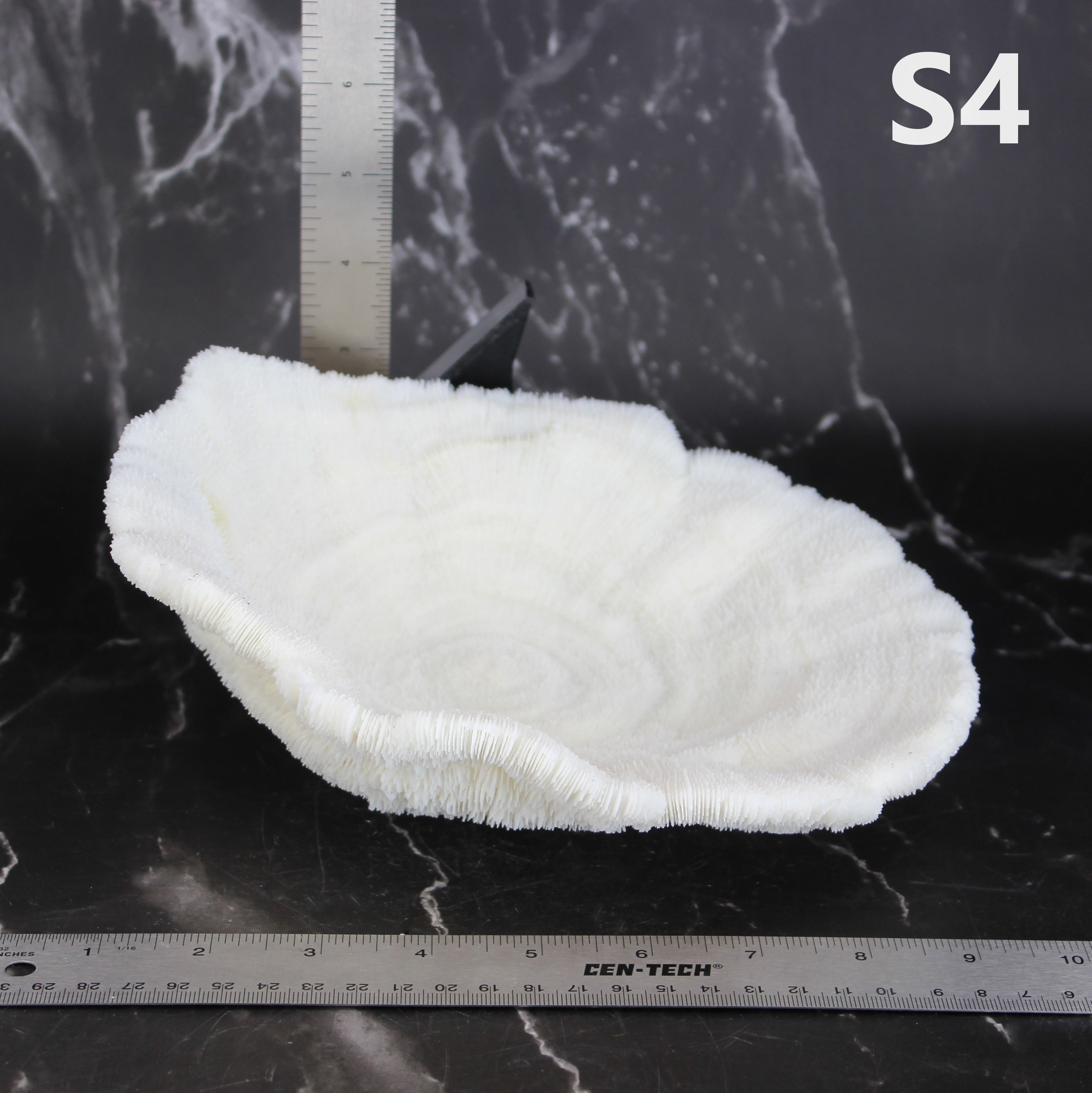 Coral Bowl 8-10"