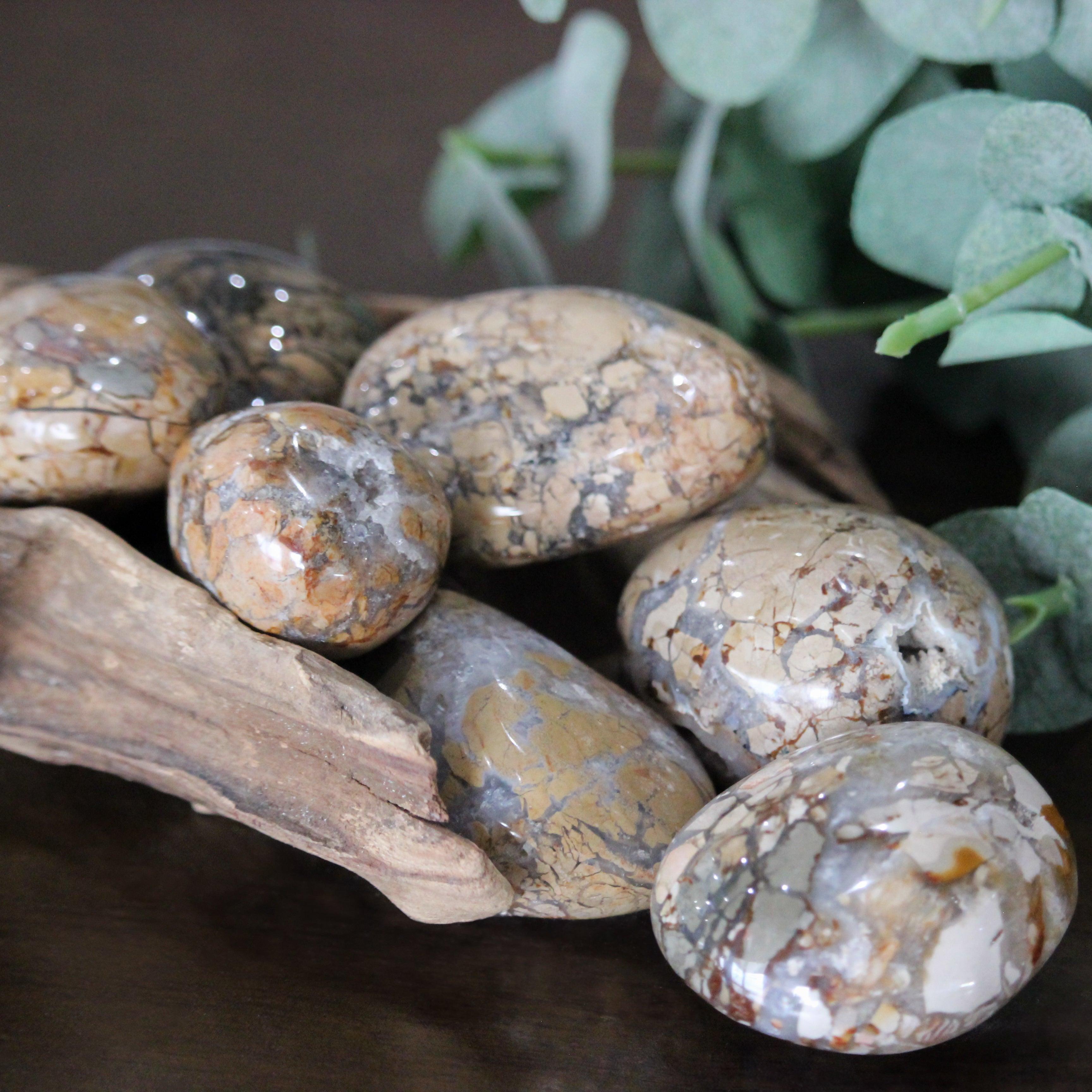 Ibis Jasper Palm Stone