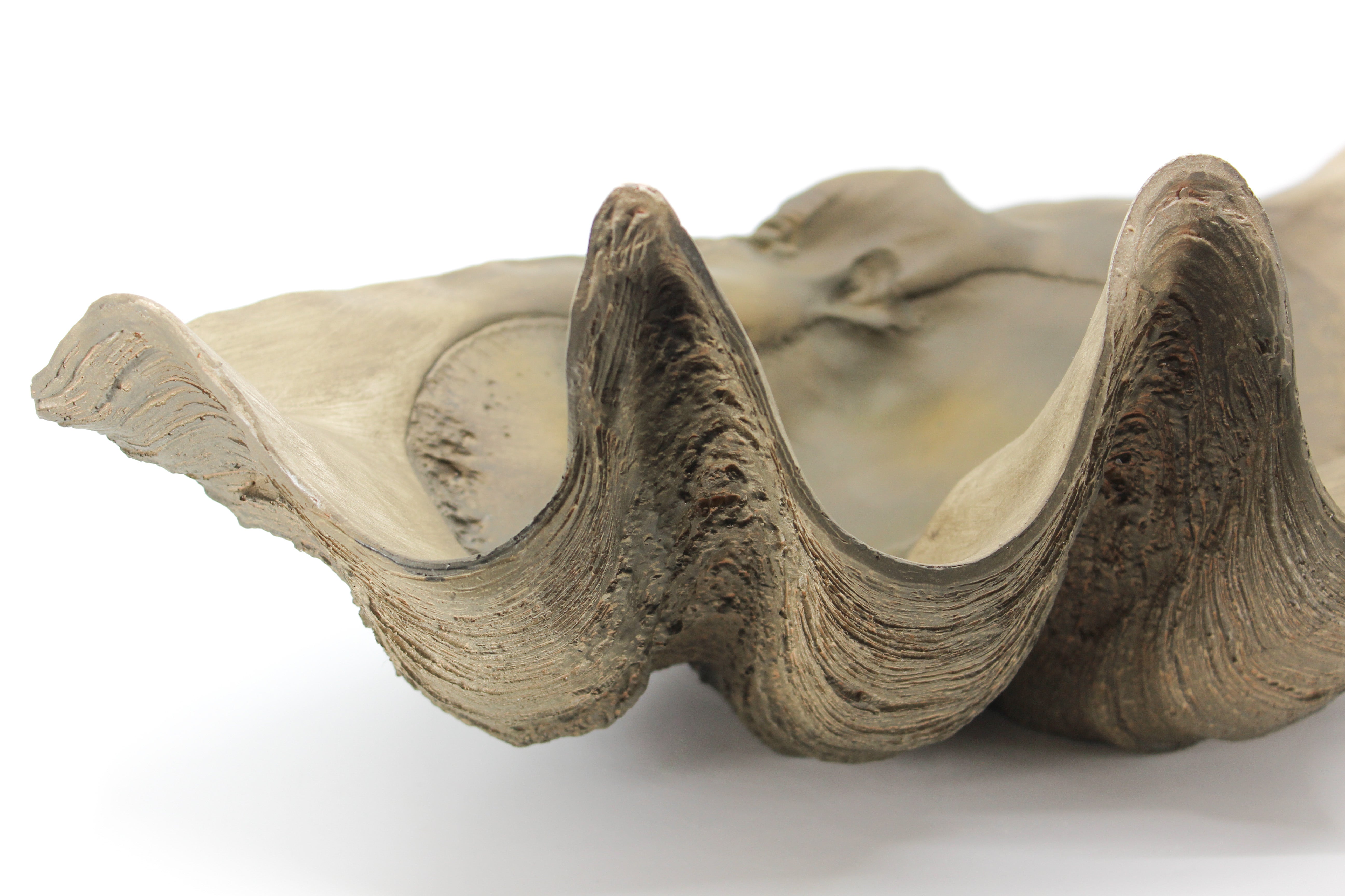 Clam Bowl
