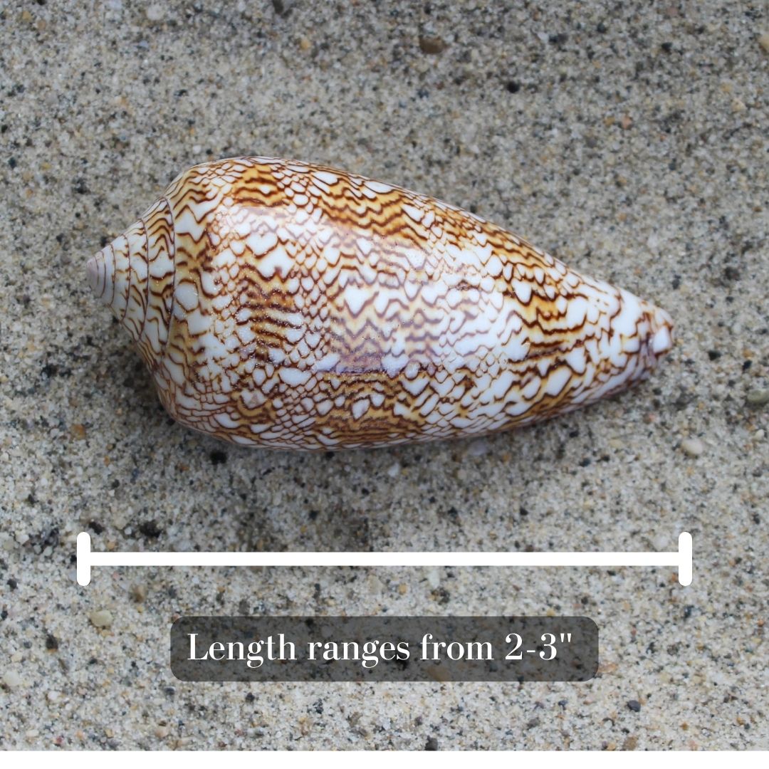 Textile Cone