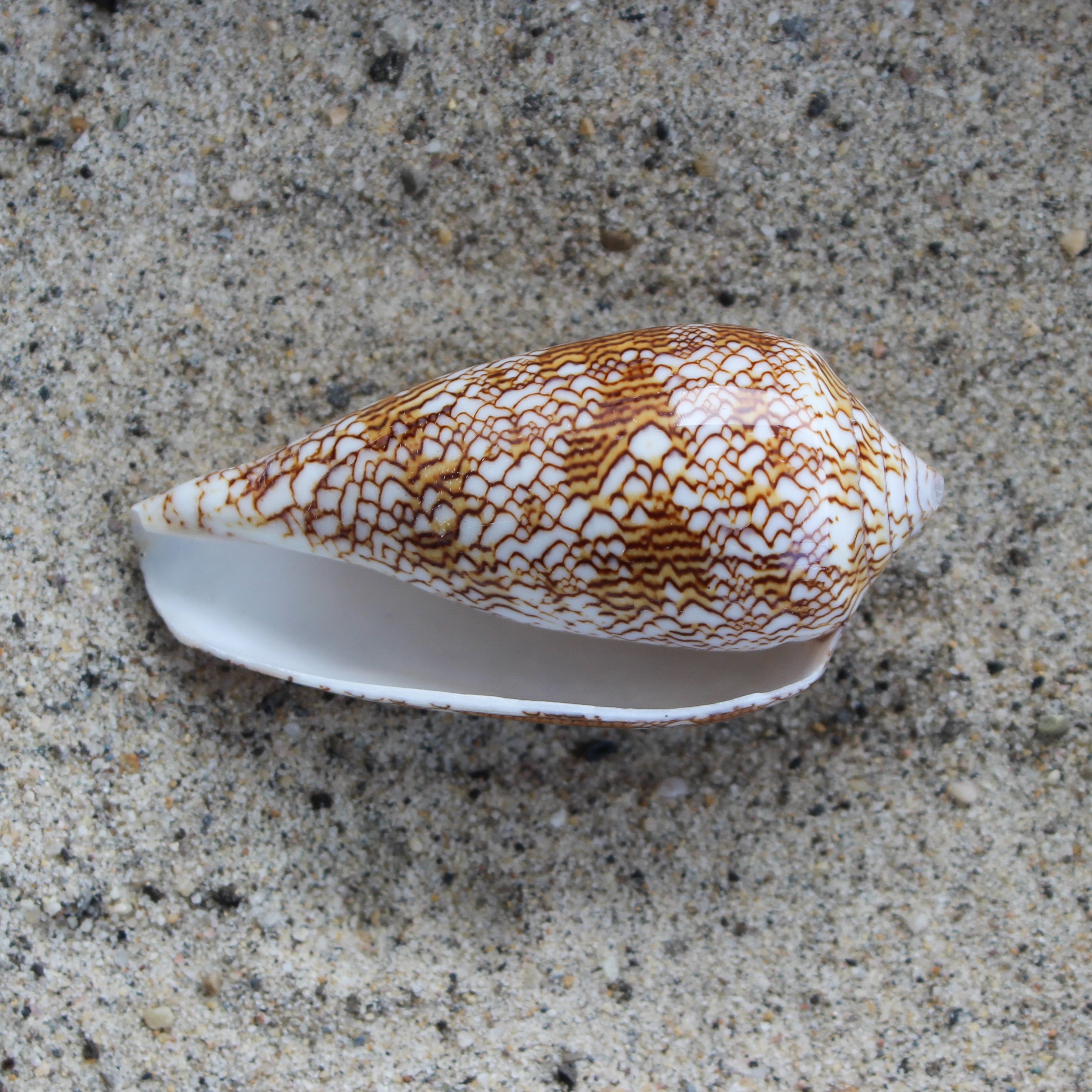Textile Cone