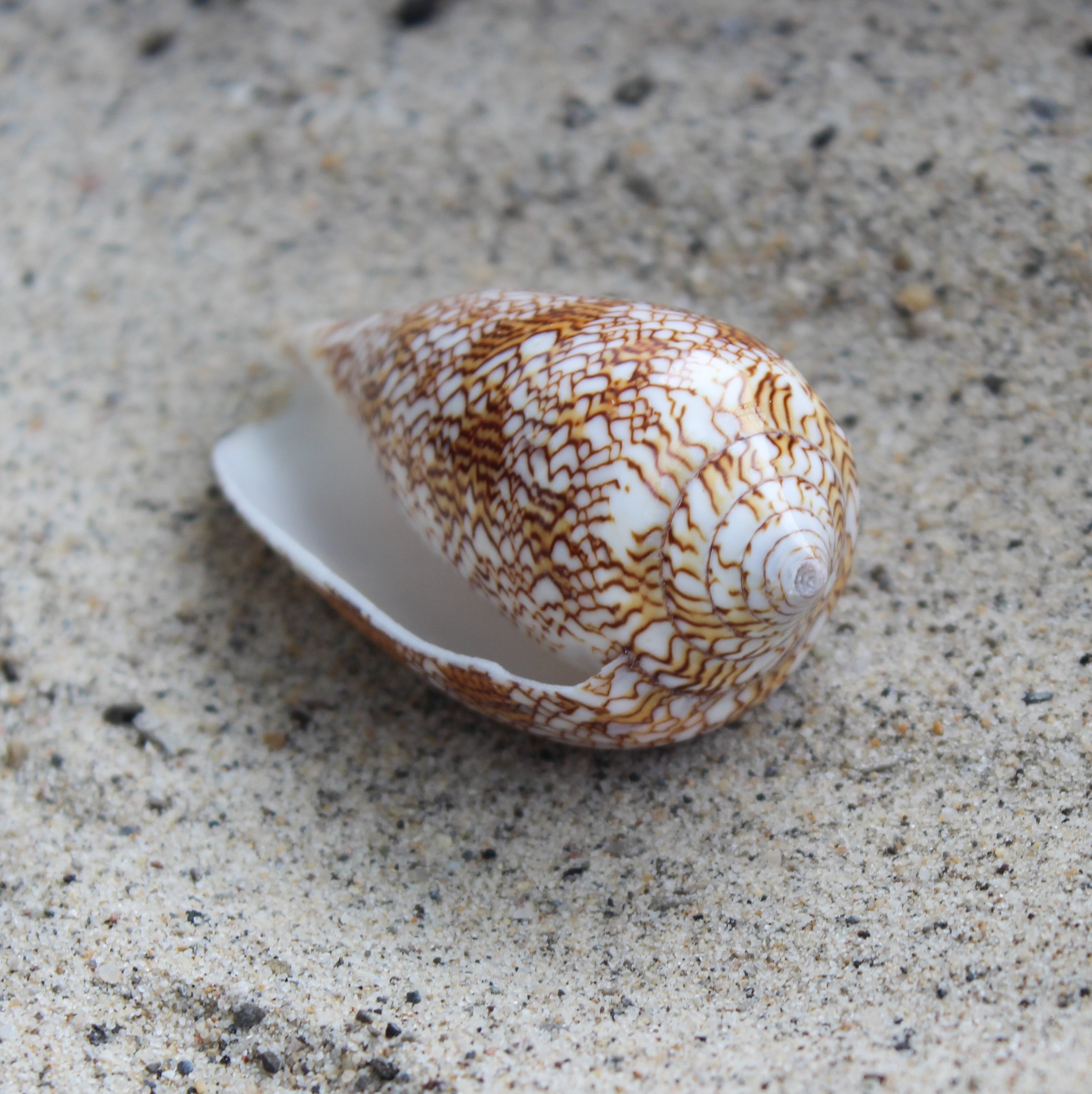 Textile Cone