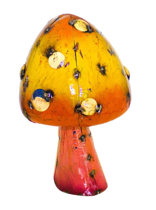 Garden Mushrooms