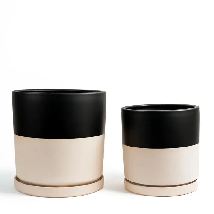Cylinder Pots with Water Saucers