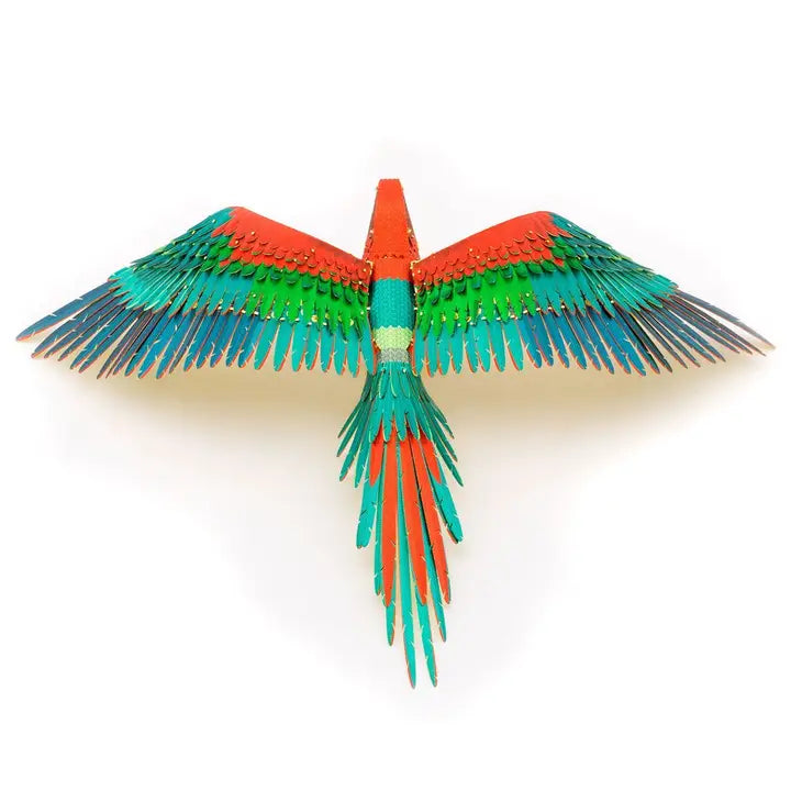 Parrot - Color