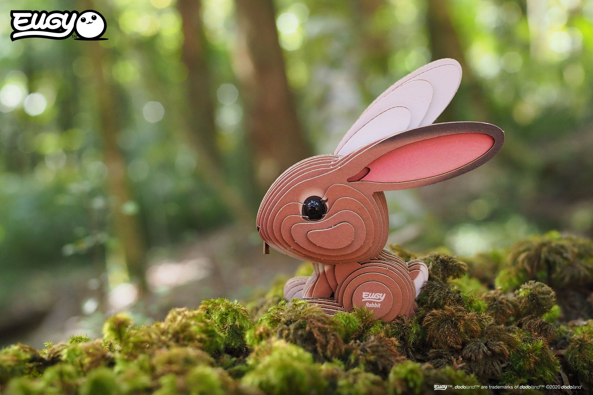 EUGY Forest