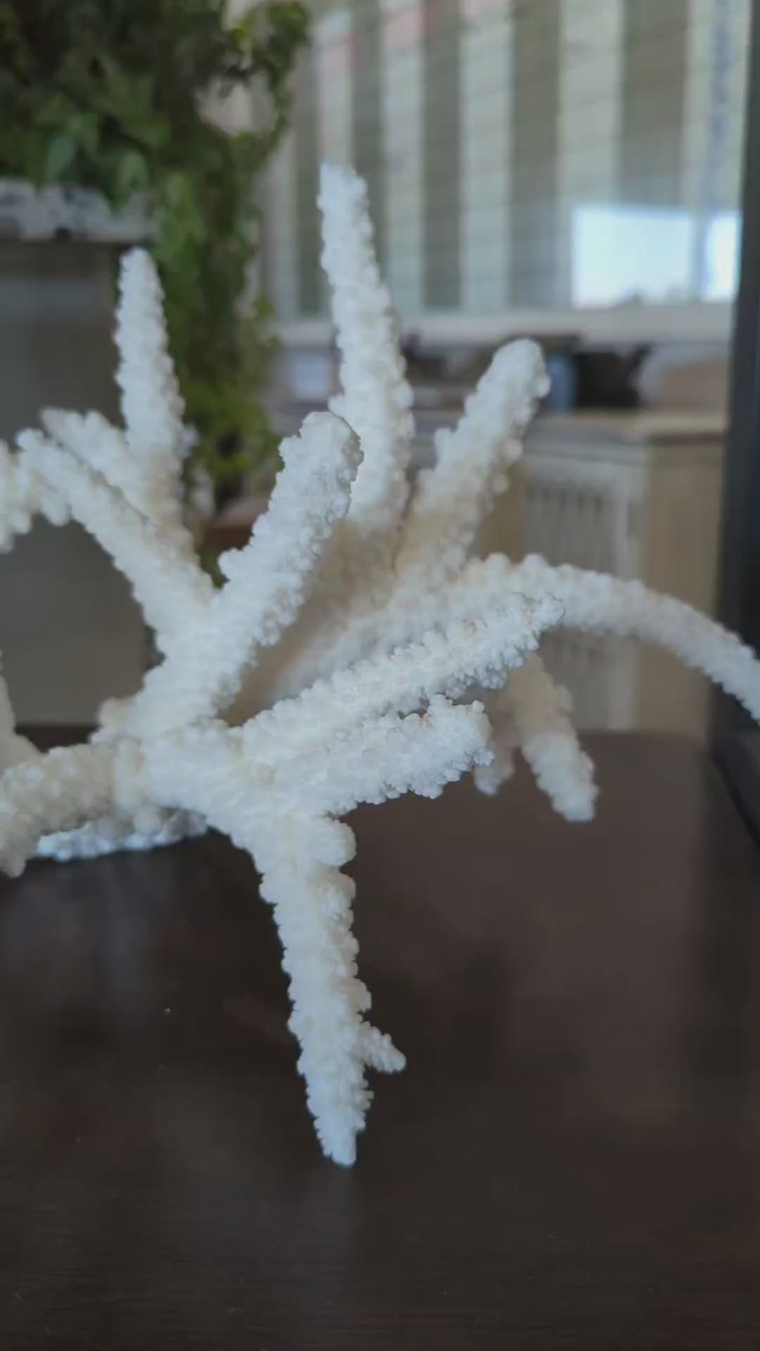 Branch Coral 12-15"