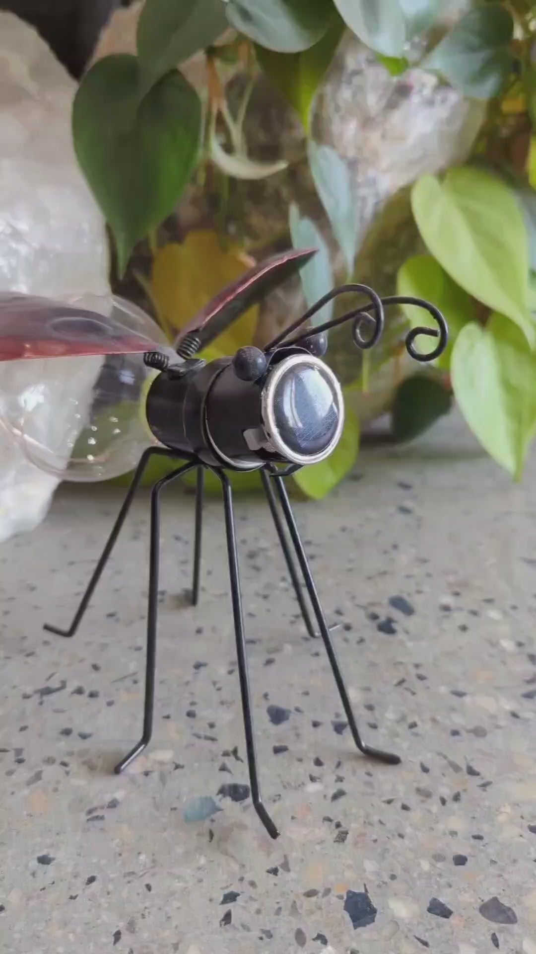 Ladybug Solar Glow Bug