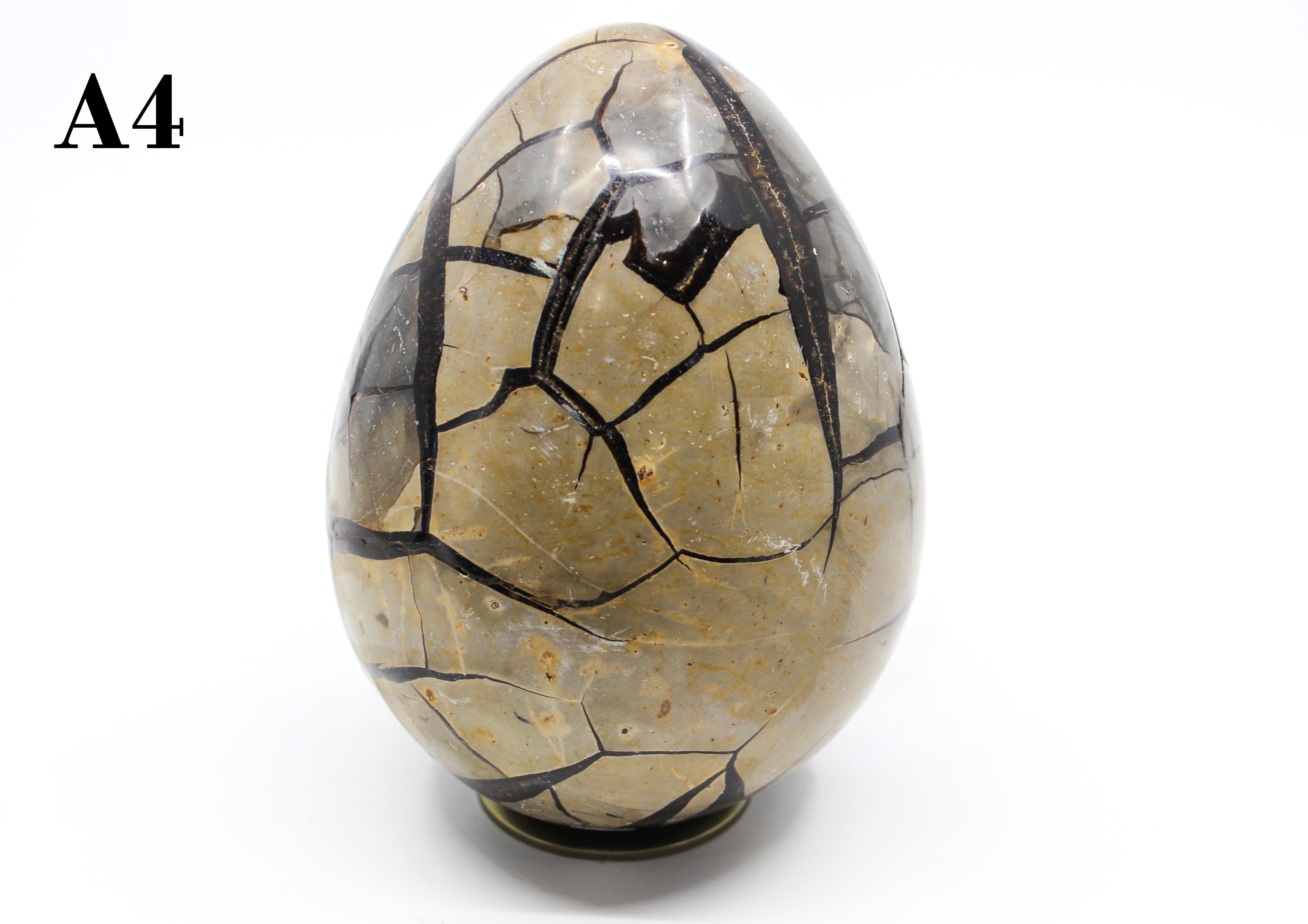 Septarian Dragon Egg 6-7"
