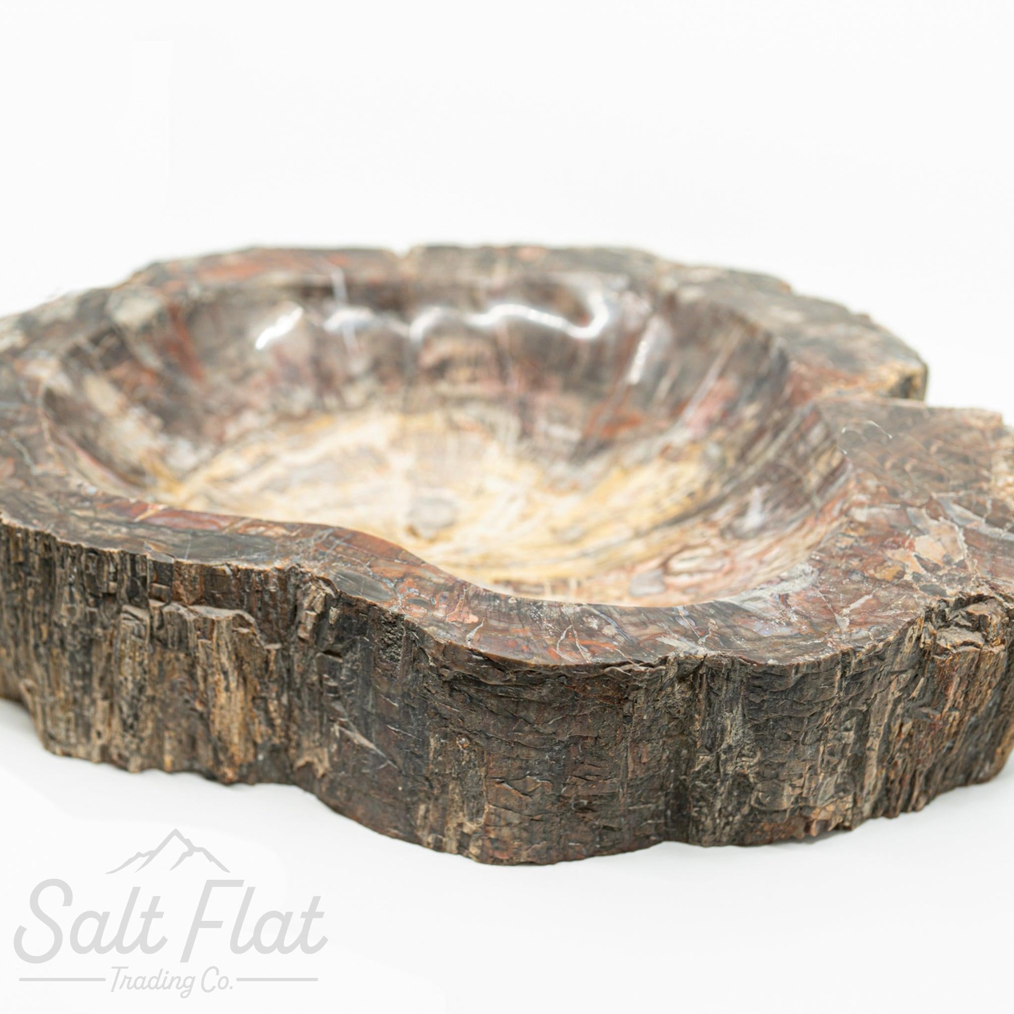 Extra-Large Petrified Wood Bowl