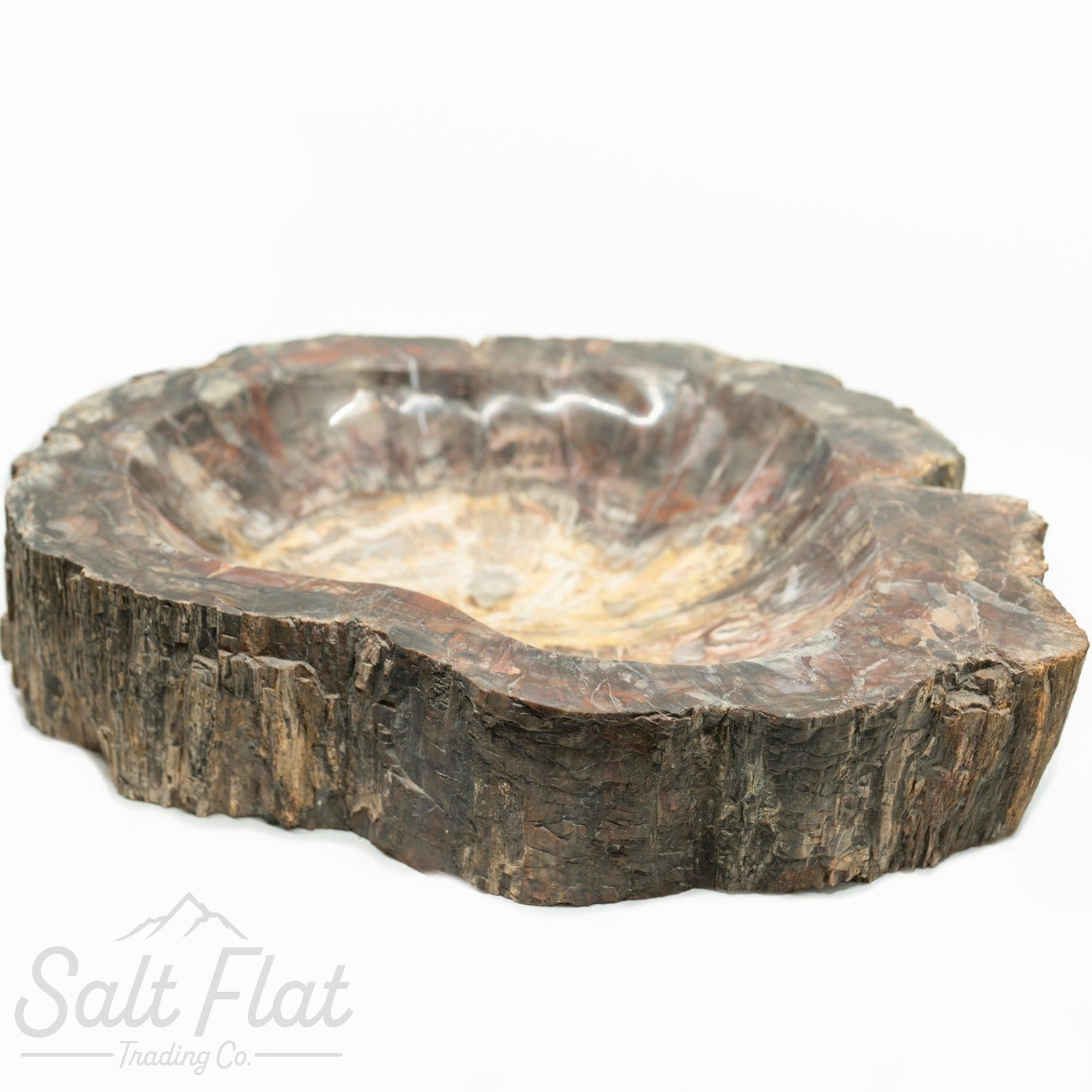 Extra-Large Petrified Wood Bowl