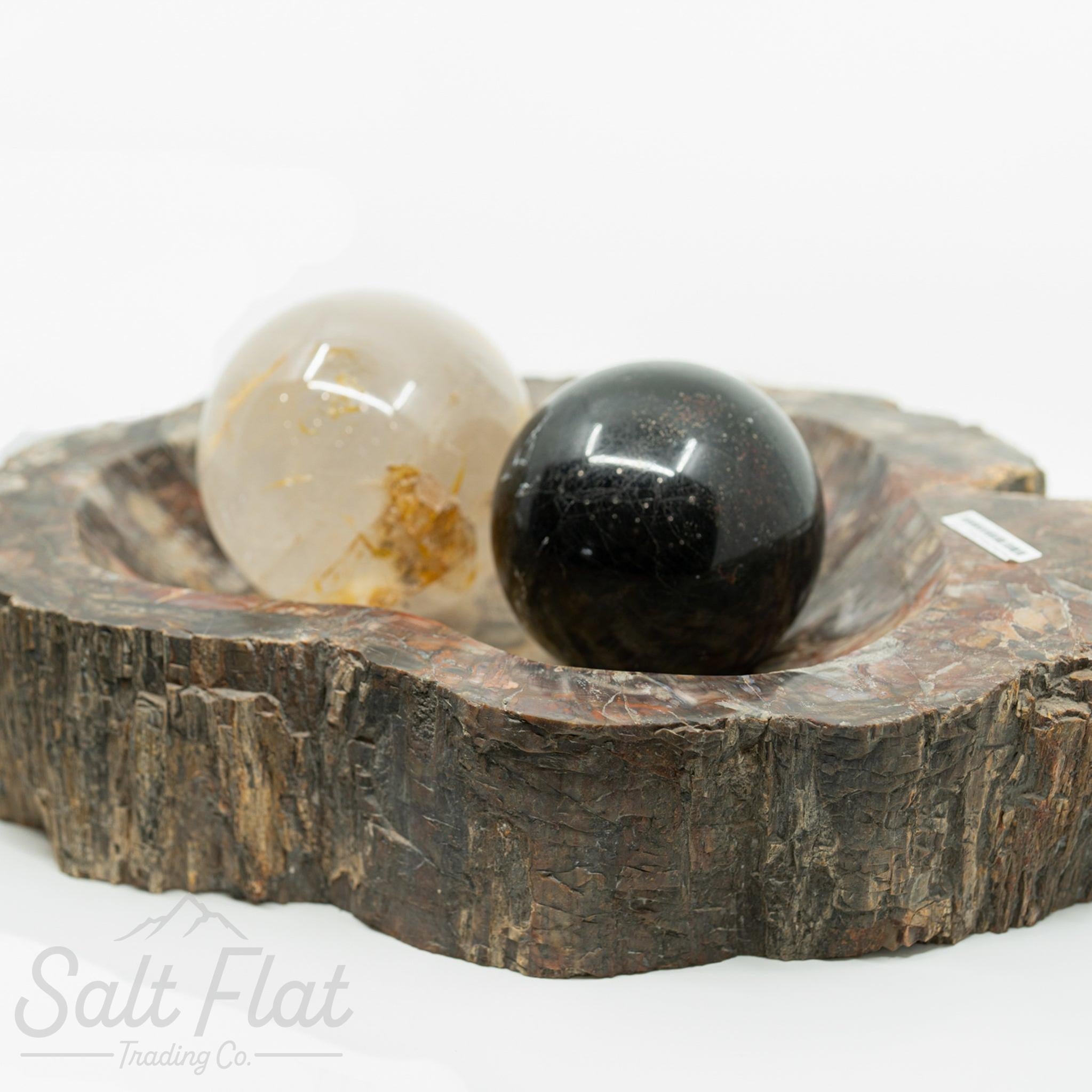 Extra-Large Petrified Wood Bowl