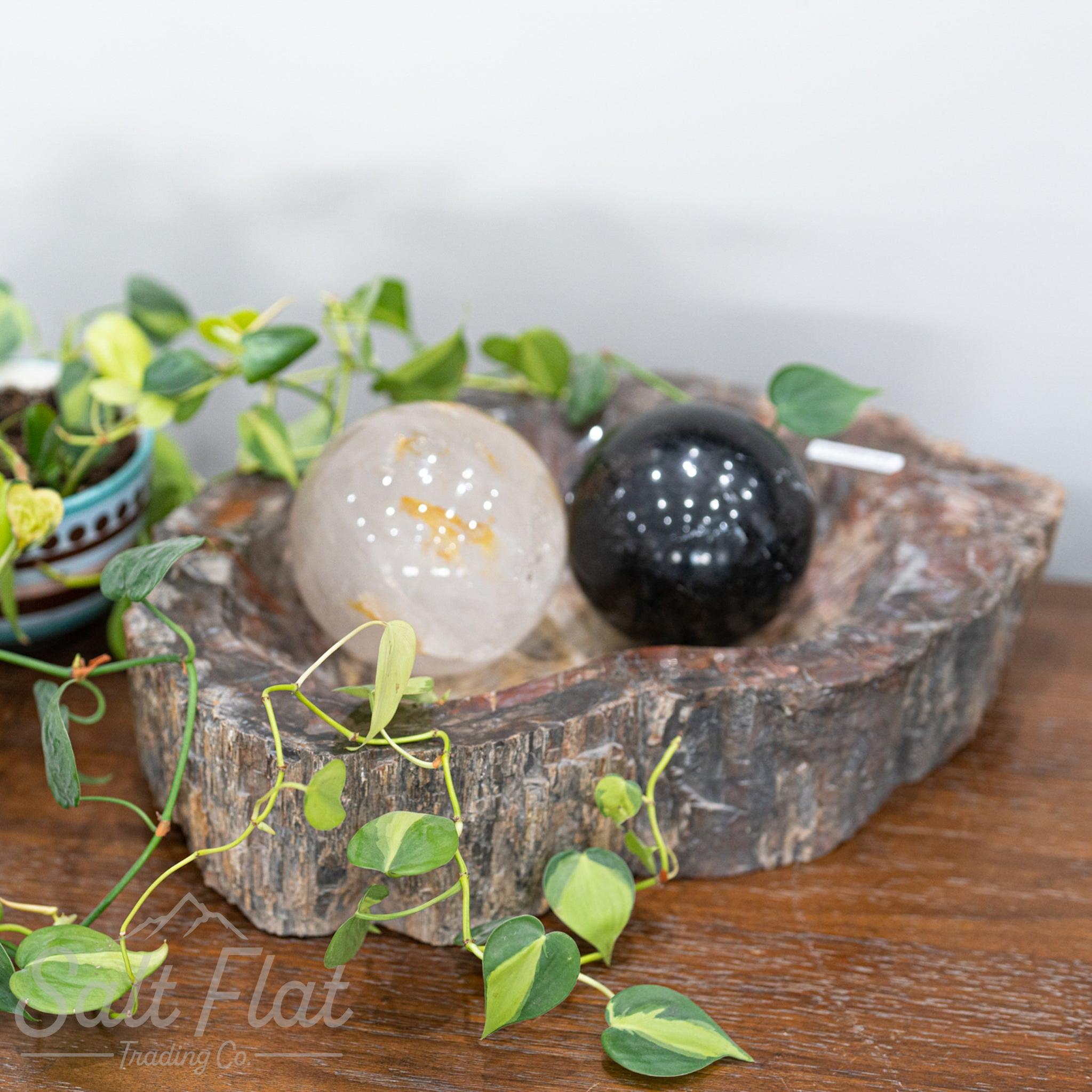 Extra-Large Petrified Wood Bowl