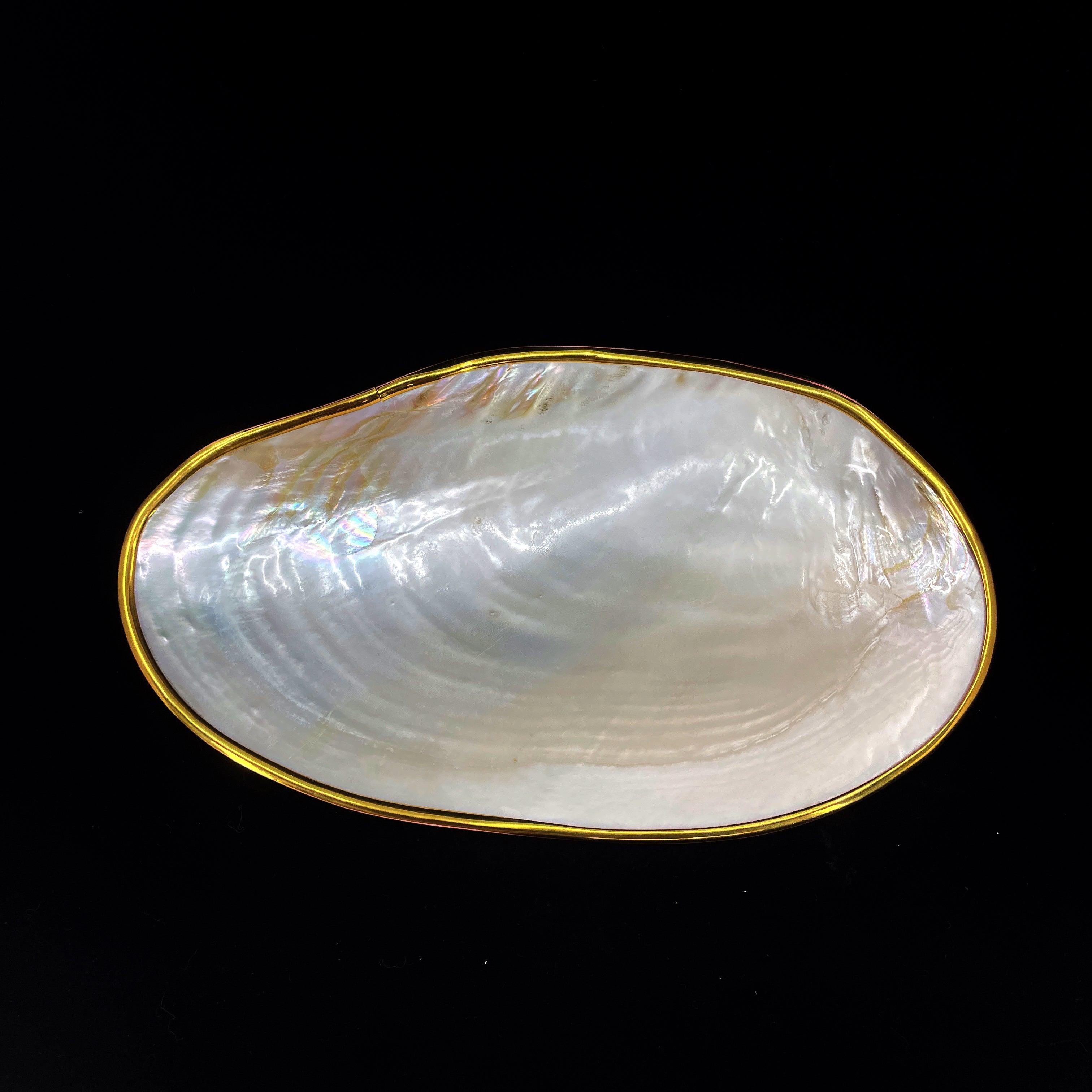 Silver Clam- Golden Edge