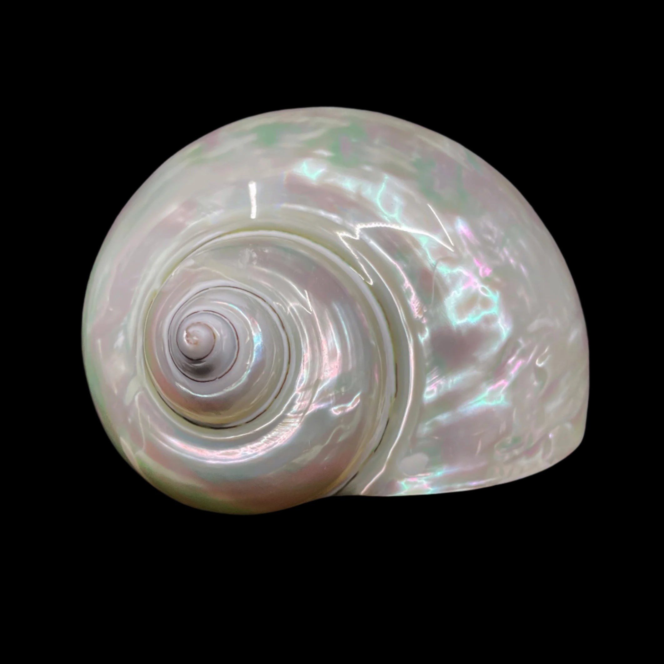 Polished Jade Turbo 3-3.5"