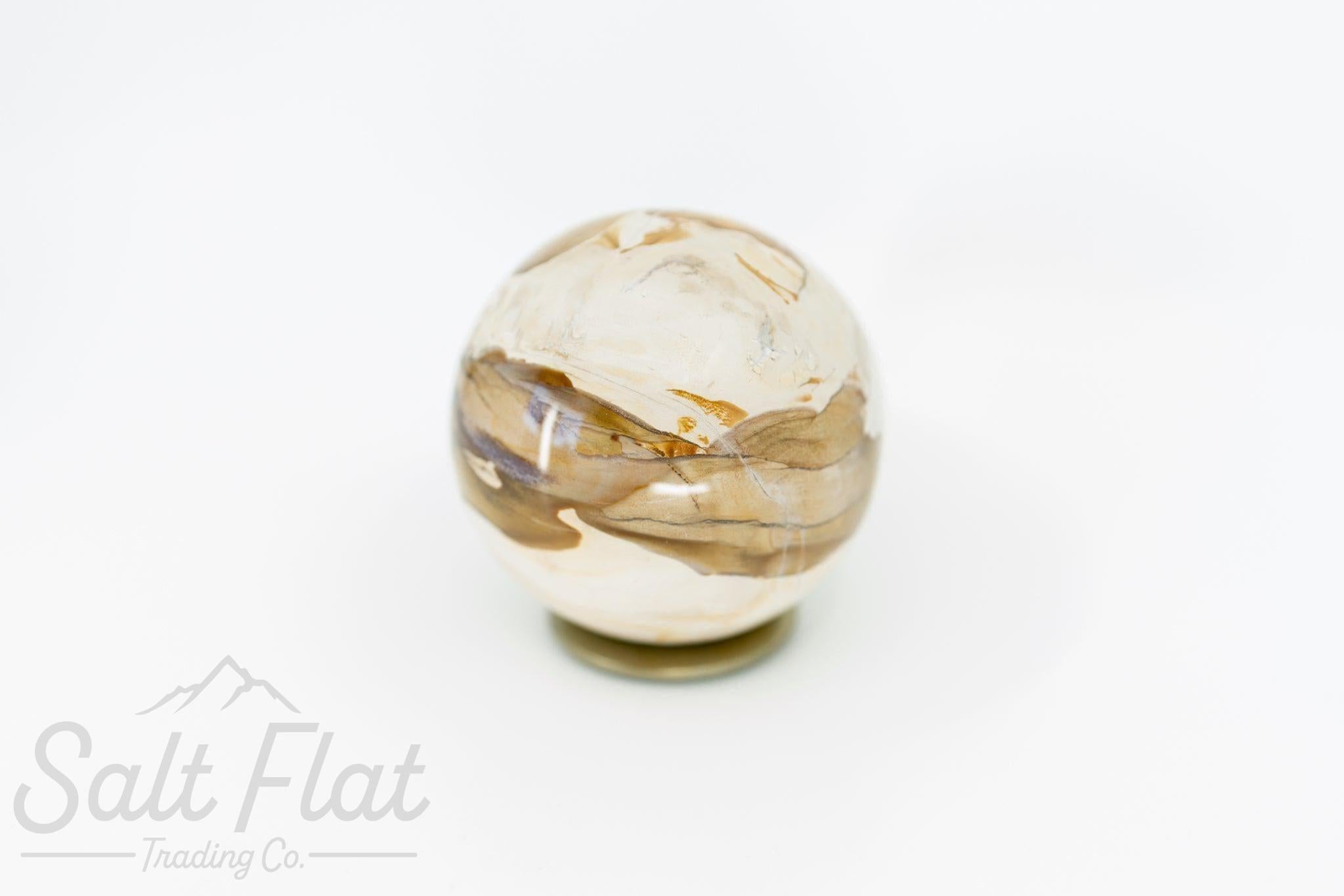 Petrified Wood Sphere
