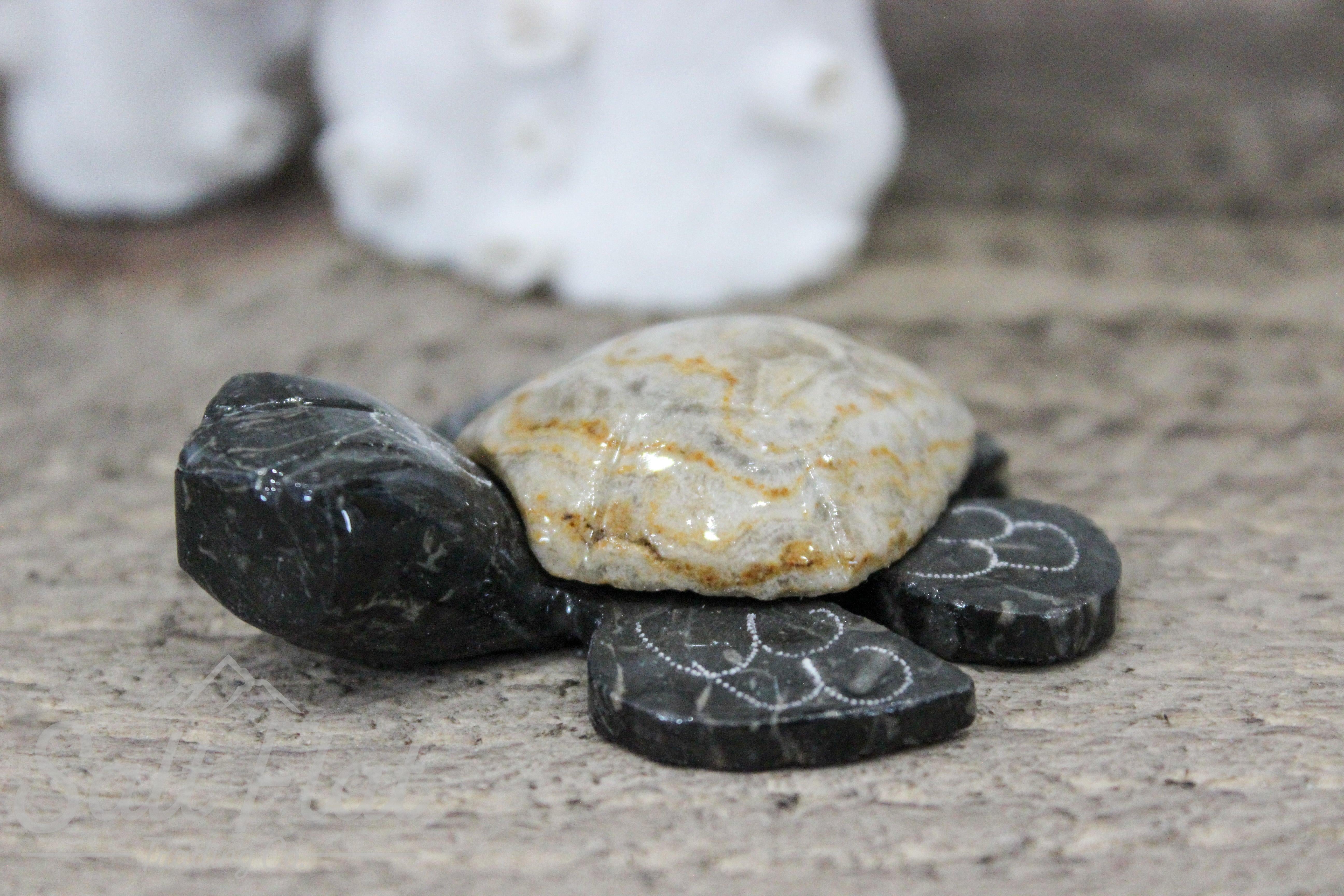 2" Marble Turtle