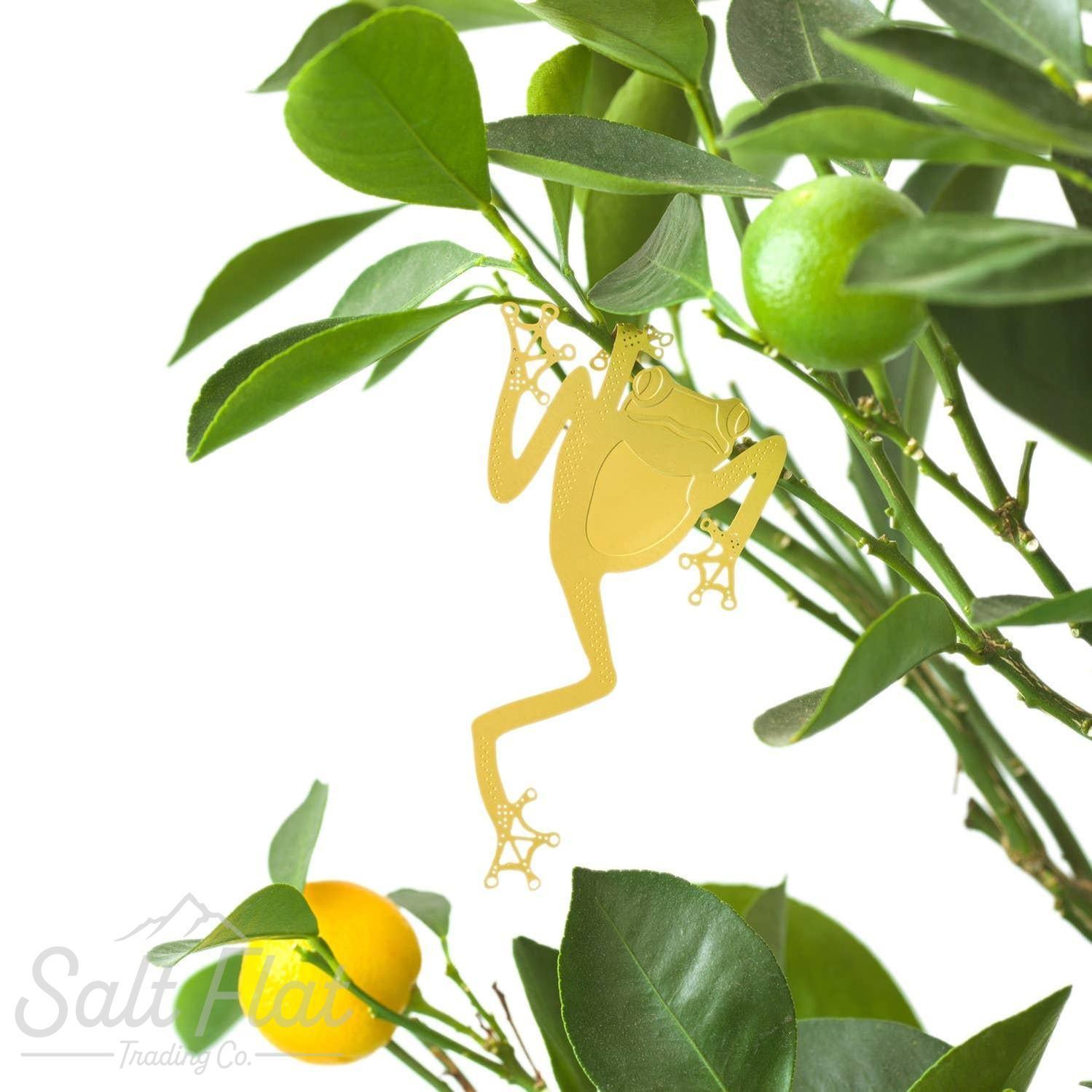 Plant Animals